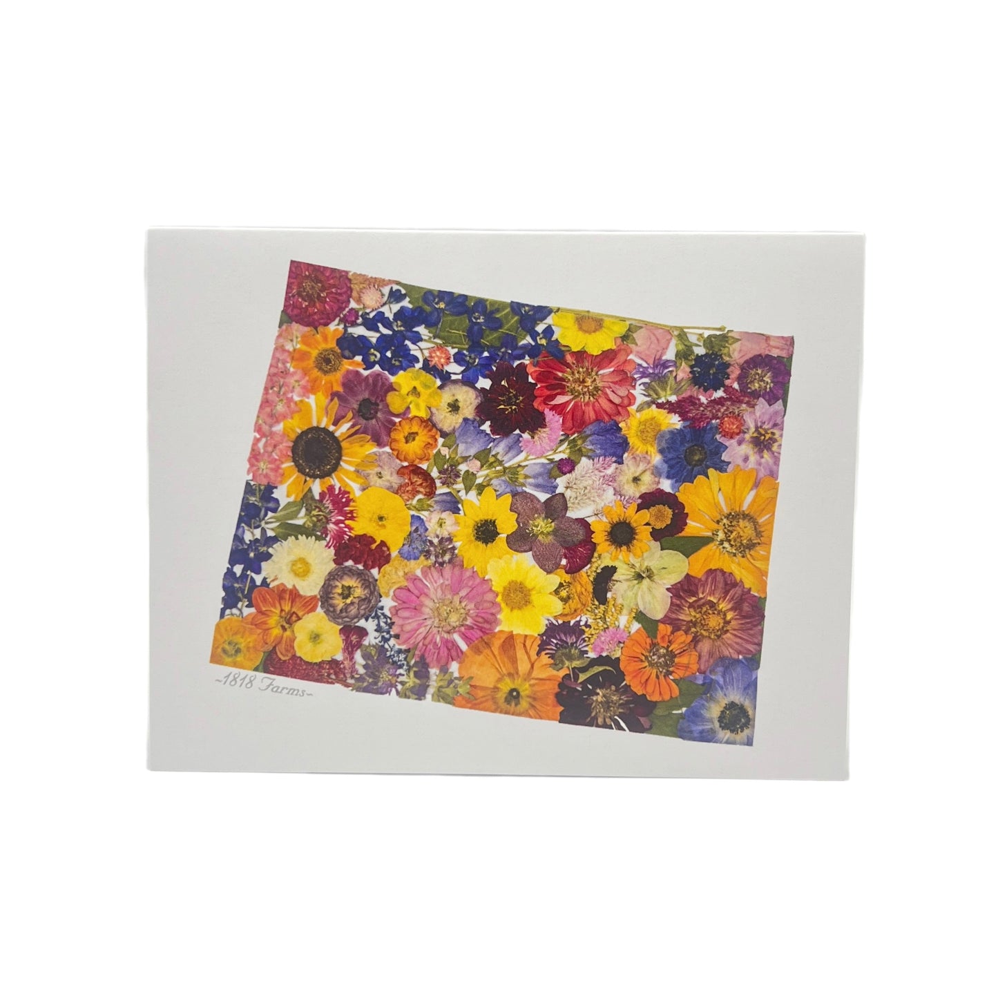 Wyoming Themed Notecards (Set of 6) - "Where I Bloom" Collection Notecard 1818 Farms