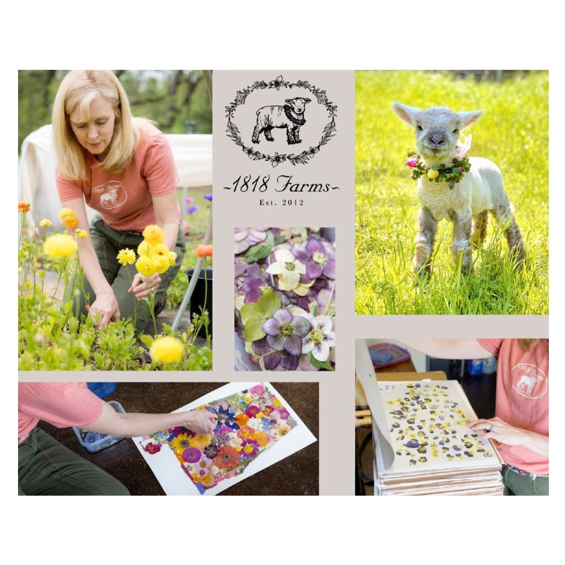 Pennsylvania Themed Giclée Print - "Where I Bloom" Collection Giclee Art Print 1818 Farms