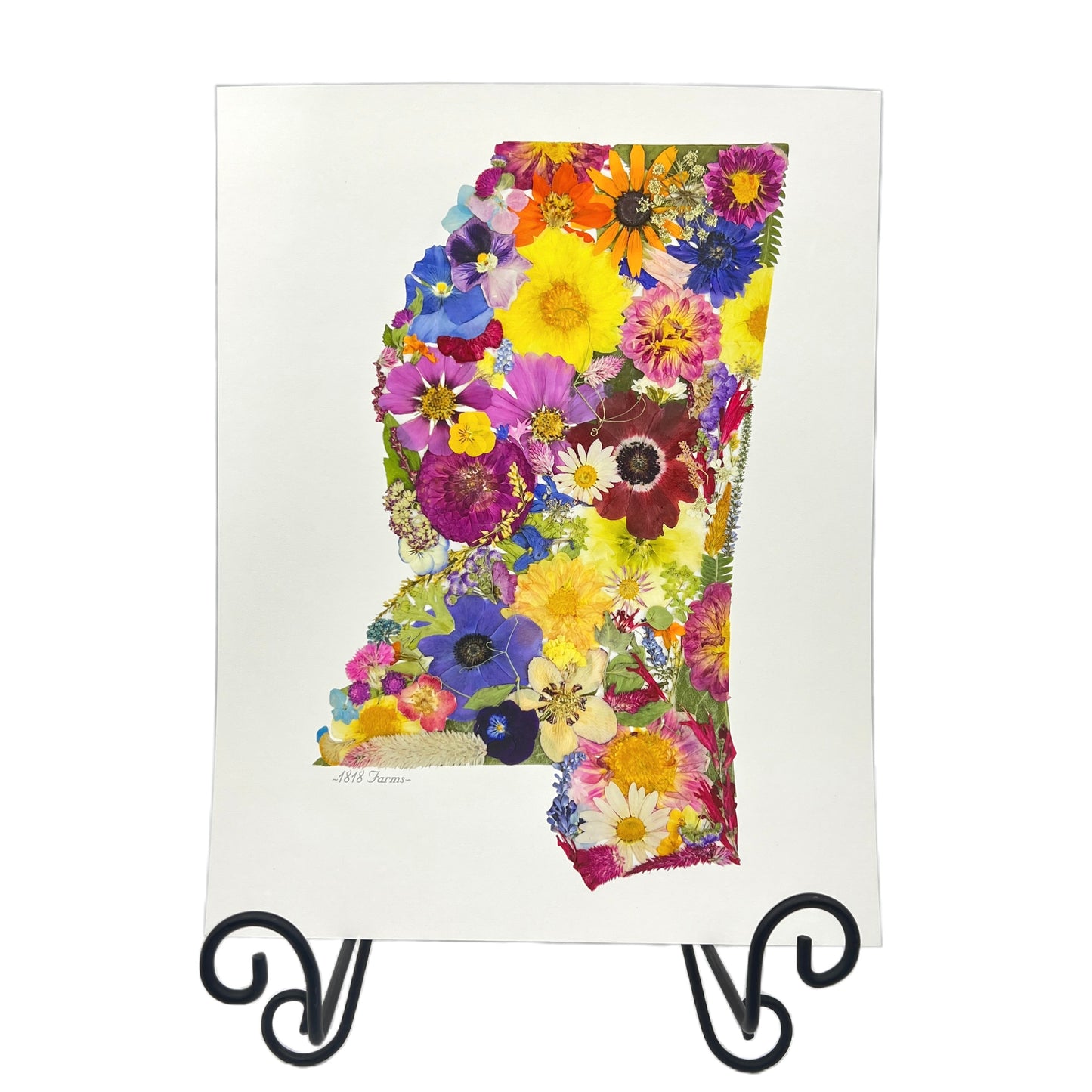 Mississippi Themed Giclée Print  - "Where I Bloom" Collection Giclee Art Print 1818 Farms   