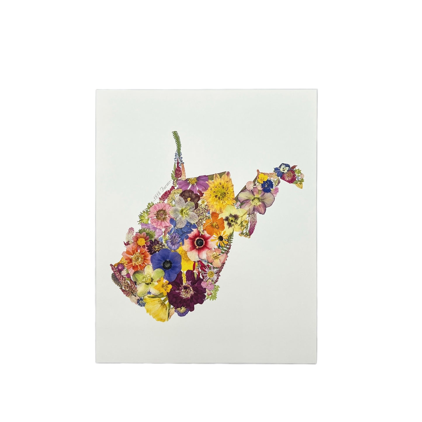State Themed Giclée Print 16" x "20 - "Where I Bloom" Collection