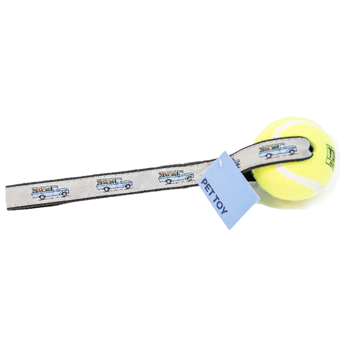 Ball tossing on sale toy for dogs