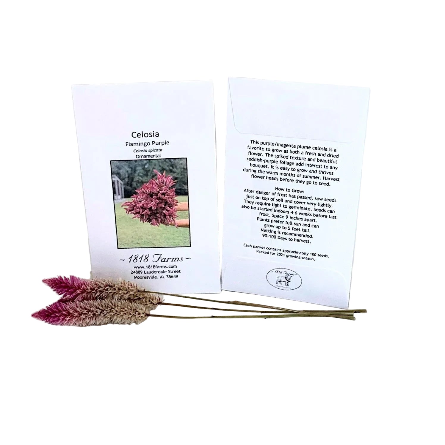celosia flower seeds Celosia Flamingo Purple Seeds from 1818 Farms