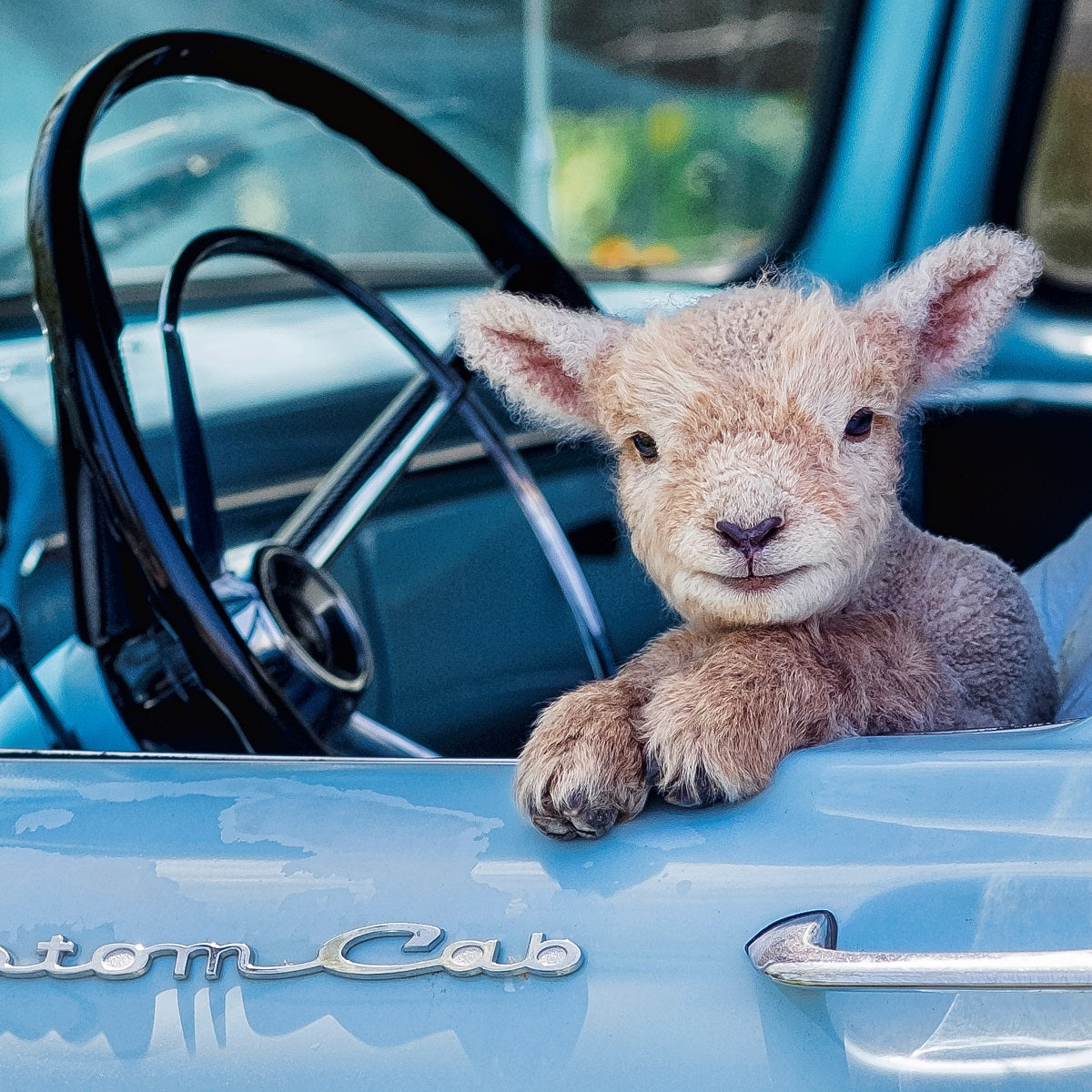 Bouquet Subscription Flowers 1818 Farms