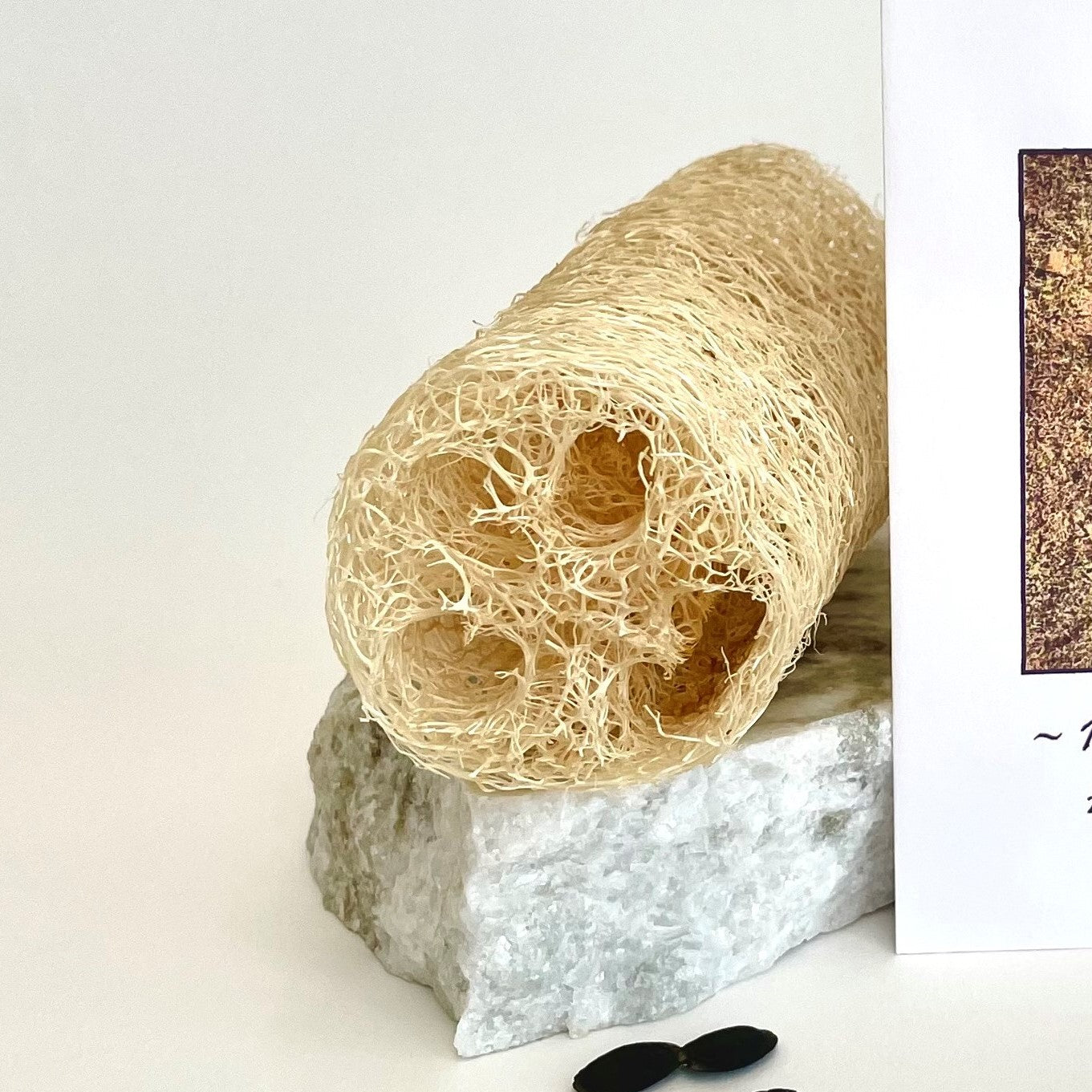 Shower Lover's Gift Box with Farm Grown Luffa Gift Basket 1818 Farms