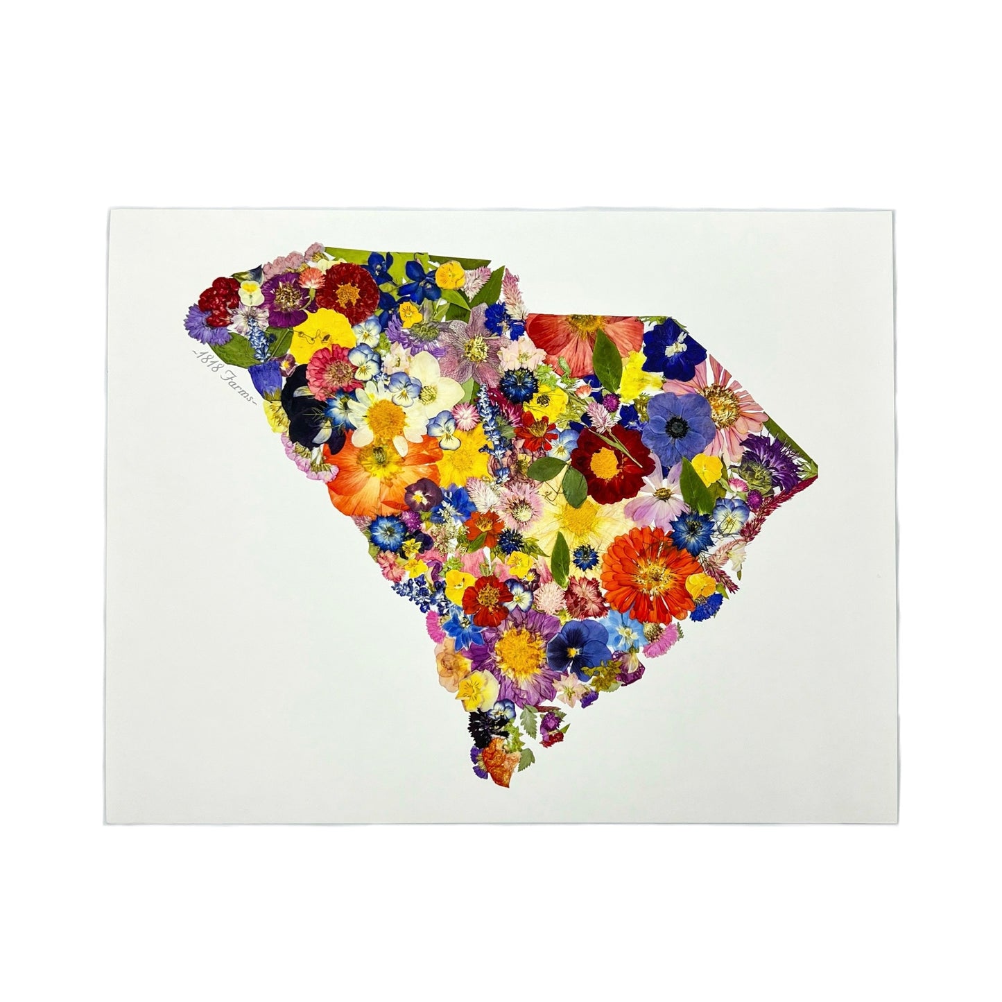 State Themed Giclée Print  - "Where I Bloom" Collection Giclee Art Print 1818 Farms 8"x10" South Carolina 