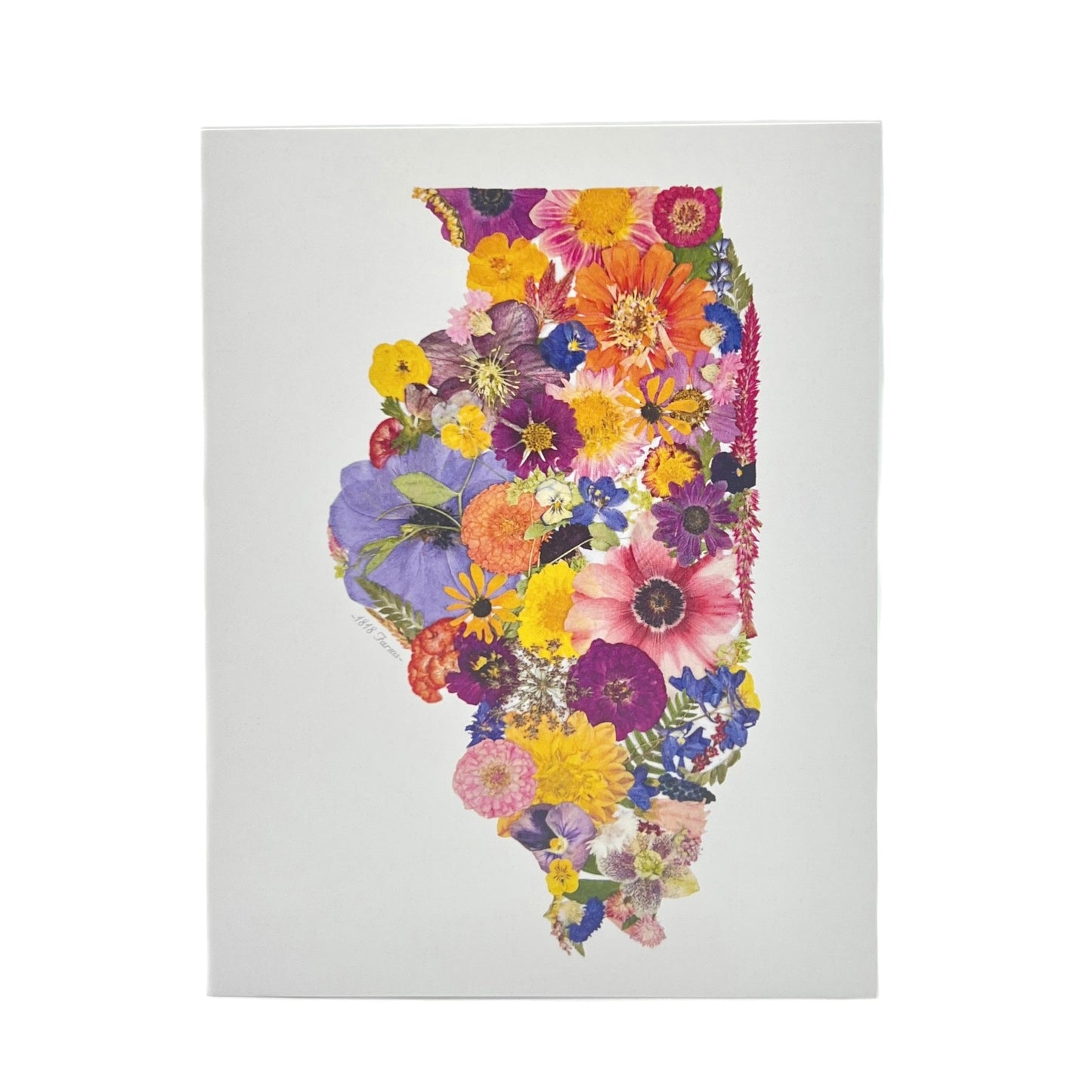 State Themed Notecards (Set of 6)  - "Where I Bloom" Collection Notecard 1818 Farms Illinois  