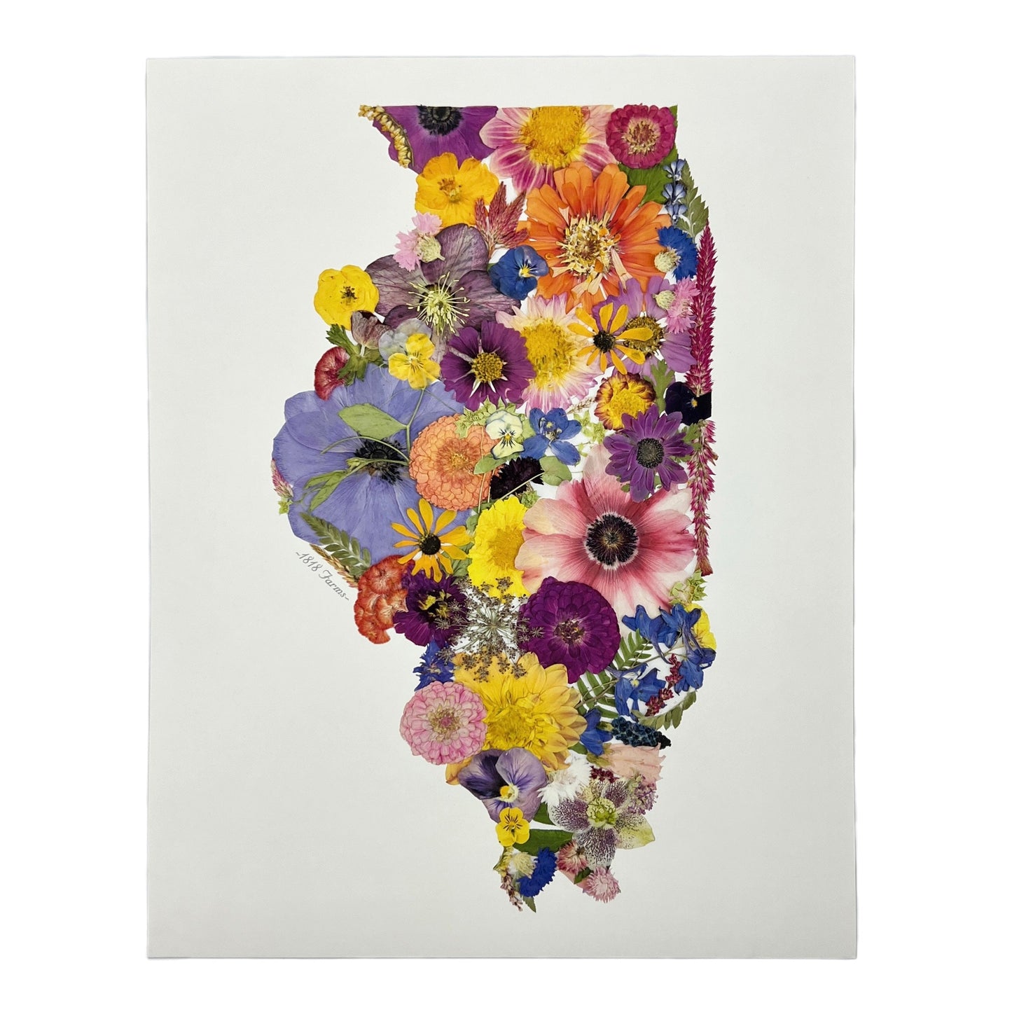 State Themed Giclée Print  - "Where I Bloom" Collection Giclee Art Print 1818 Farms 8"x10" Illinois 