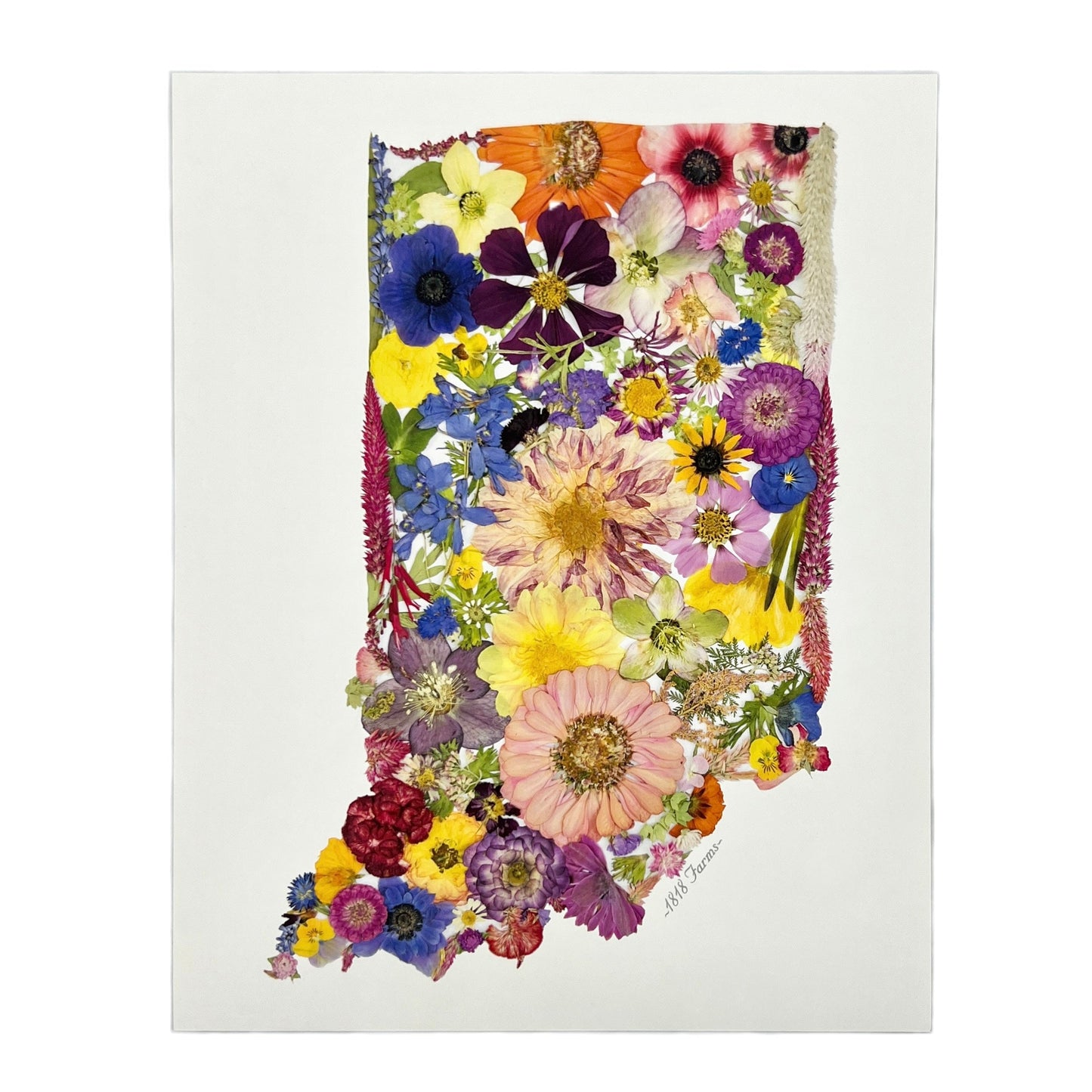 State Themed Giclée Print  - "Where I Bloom" Collection Giclee Art Print 1818 Farms 8"x10" Indiana 