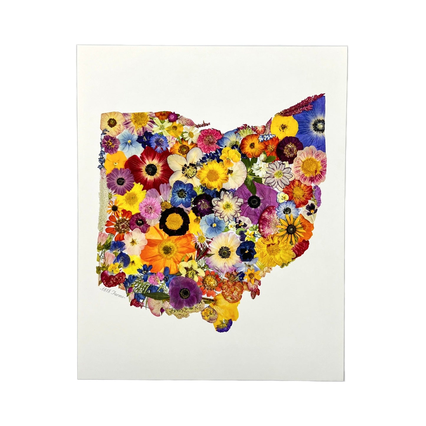 State Themed Giclée Print  - "Where I Bloom" Collection Giclee Art Print 1818 Farms 8"x10" Ohio 