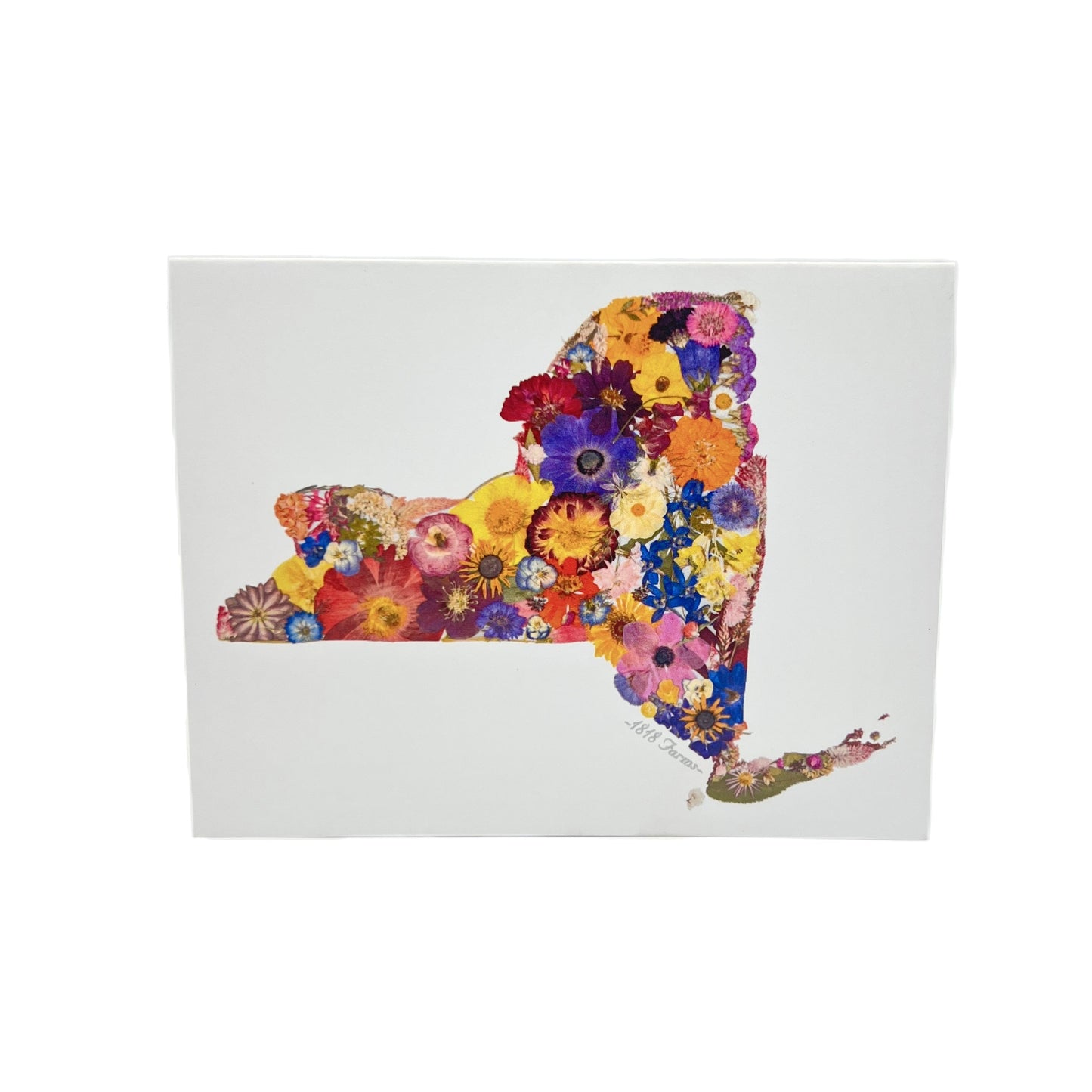 State Themed Notecards (Set of 6)  - "Where I Bloom" Collection Notecard 1818 Farms New York  