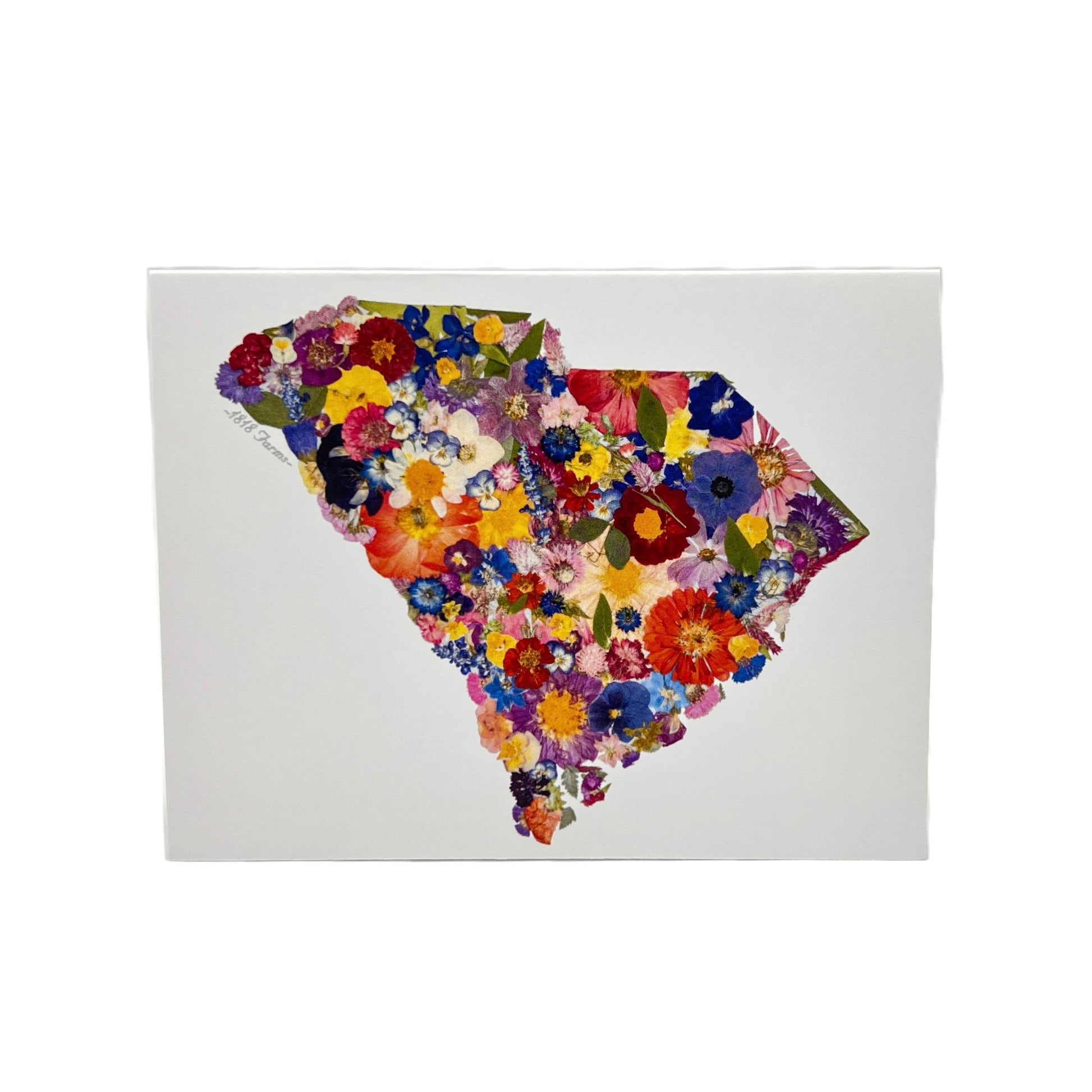 State Themed Notecards (Set of 6)  - "Where I Bloom" Collection Notecard 1818 Farms South Carolina  