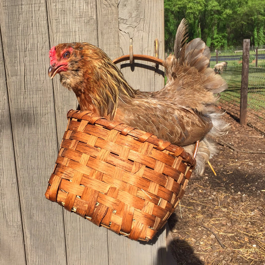 Tour the 1818 Farms Chicken Coop