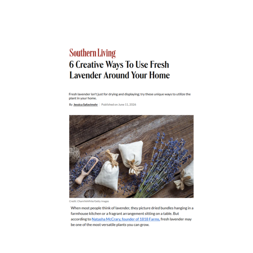 Natasha McCrary of 1818 Farms Shares 6 Creative Ways To Use Fresh Lavender Around Your Home