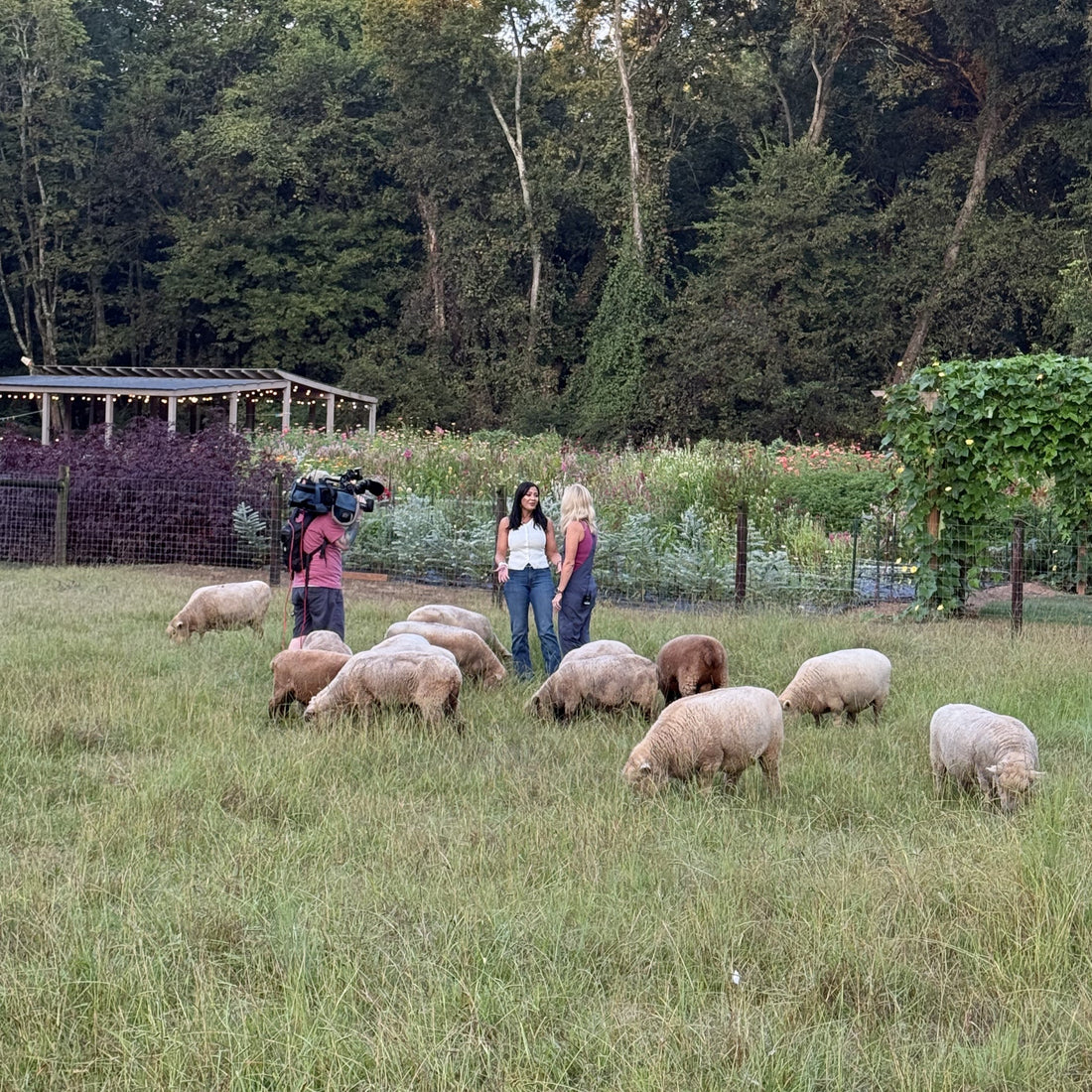 Preserving History At 1818 Farms: WHNT 19's Visit with Natasha