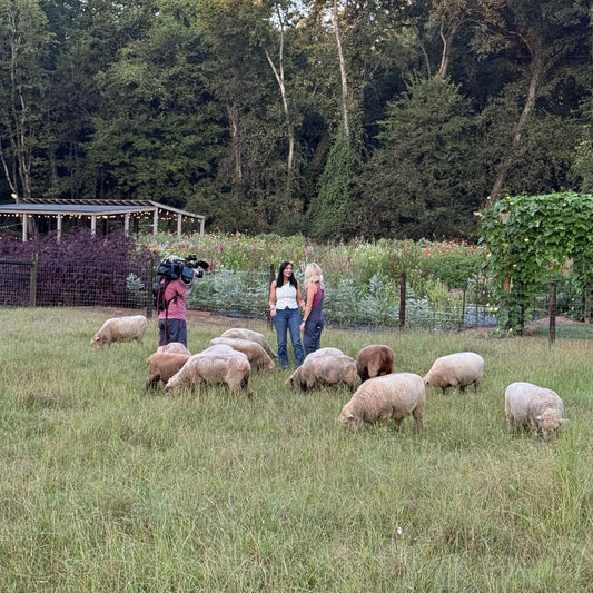 Preserving History At 1818 Farms: WHNT 19's Visit with Natasha