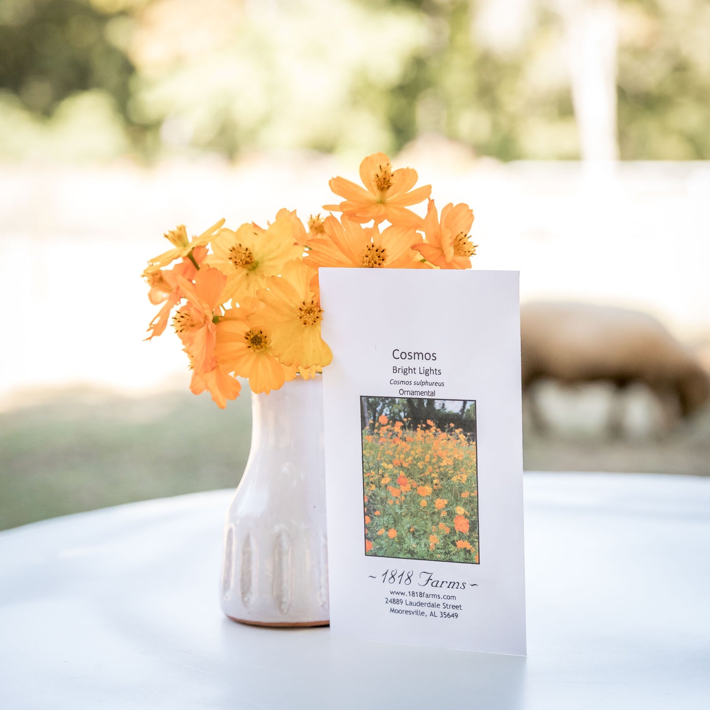 Gardener’s Favorites Gift Box Gift Basket 1818 Farms