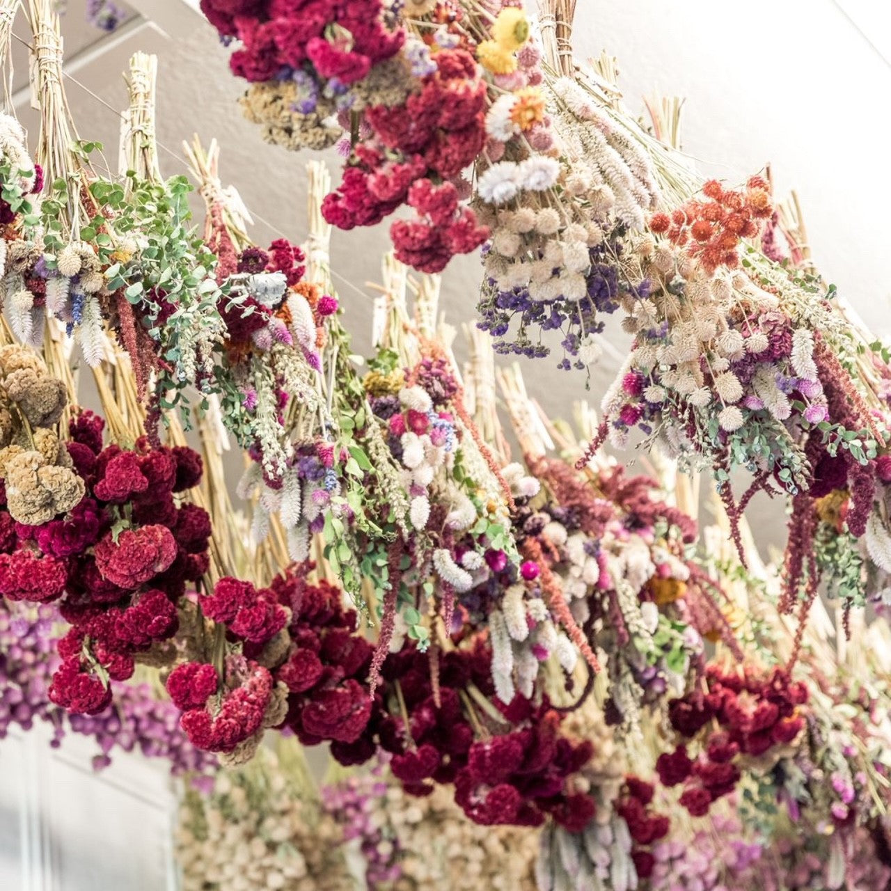 Summer Open Farm & Luffa Day! - June 20th Classes & Events 1818 Farms