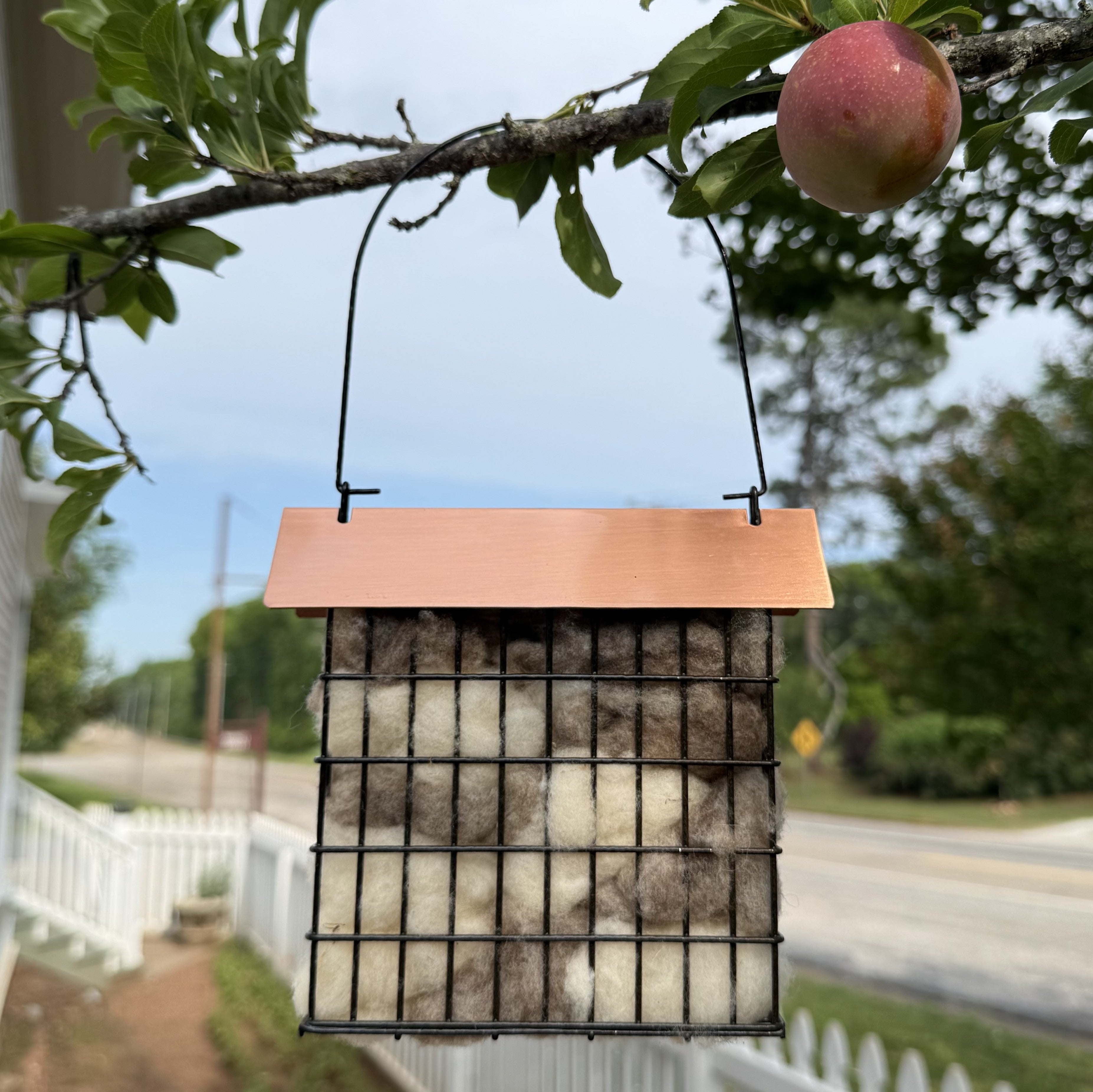 Sheep to Nest Backyard Lover's Gift Box | 1818 Farms