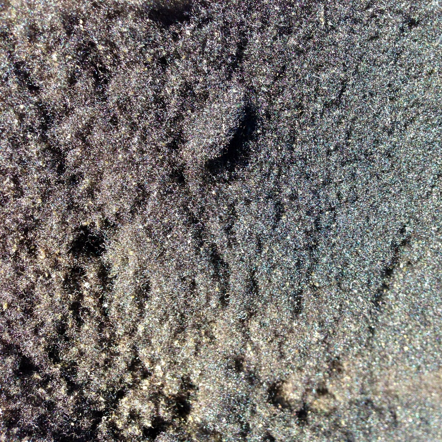 Summer Open Farm & Luffa Day! - June 20th Classes & Events 1818 Farms