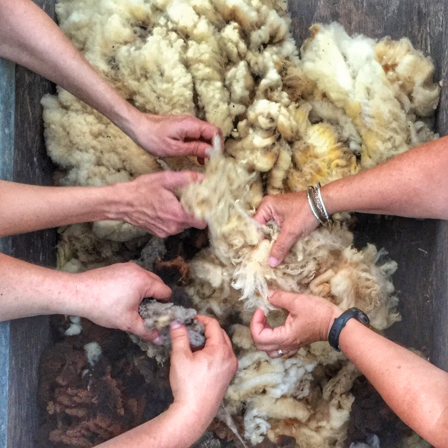 Summer Open Farm & Luffa Day! - June 20th Classes & Events 1818 Farms