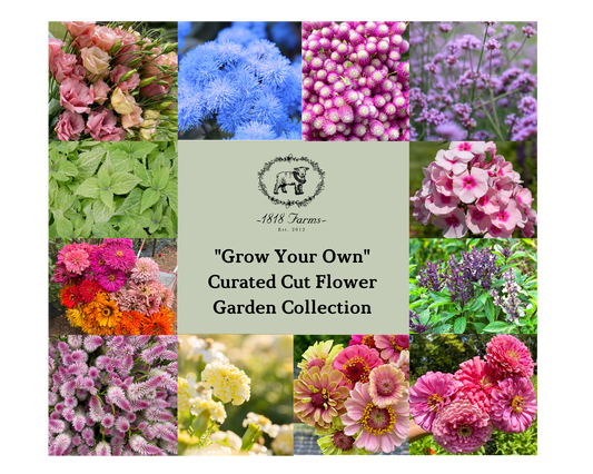 1818 Farms "Grow Your Own" Curated Cut Flower Garden Collection Flowers 1818 Farms