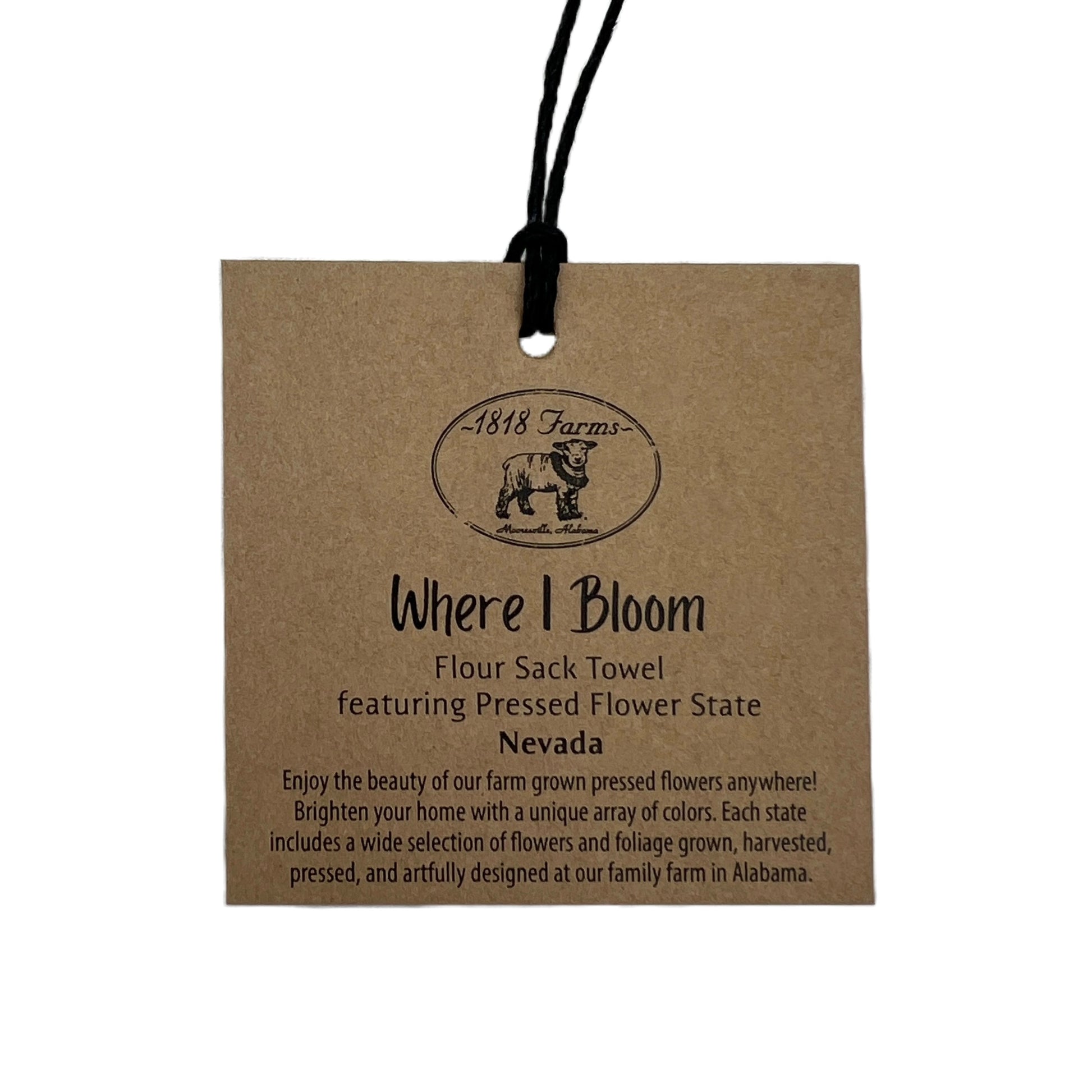 Nevada Themed Flour Sack Towel  - "Where I Bloom" Collection Towel 1818 Farms   