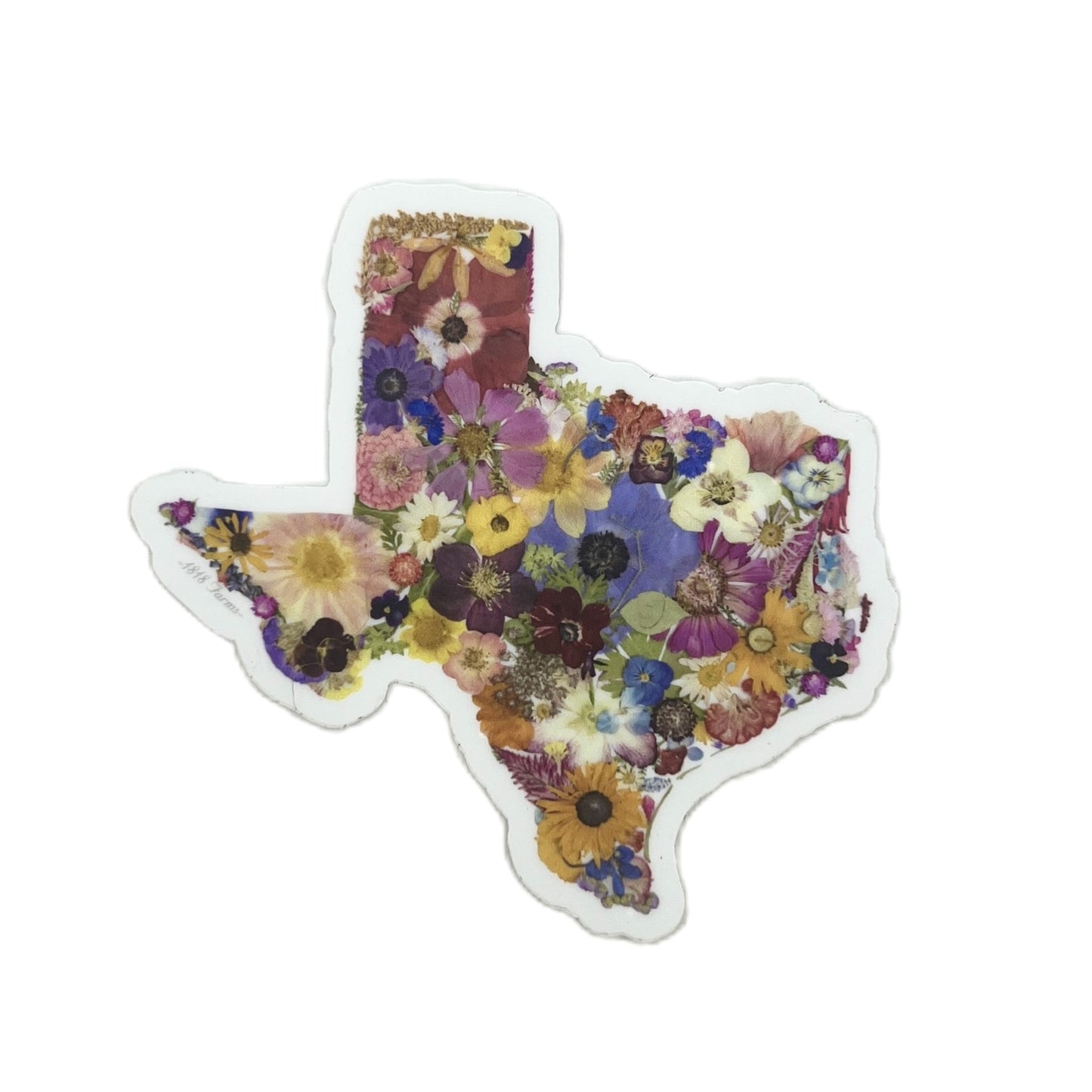 State Themed Vinyl Sticker Featuring Dried, Pressed Flowers - "Where I Bloom" Collection Vinyl Sticker 1818 Farms Texas  