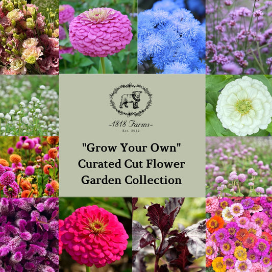 1818 Farms "Grow Your Own" Curated Cut Flower Garden Collection Flowers 1818 Farms