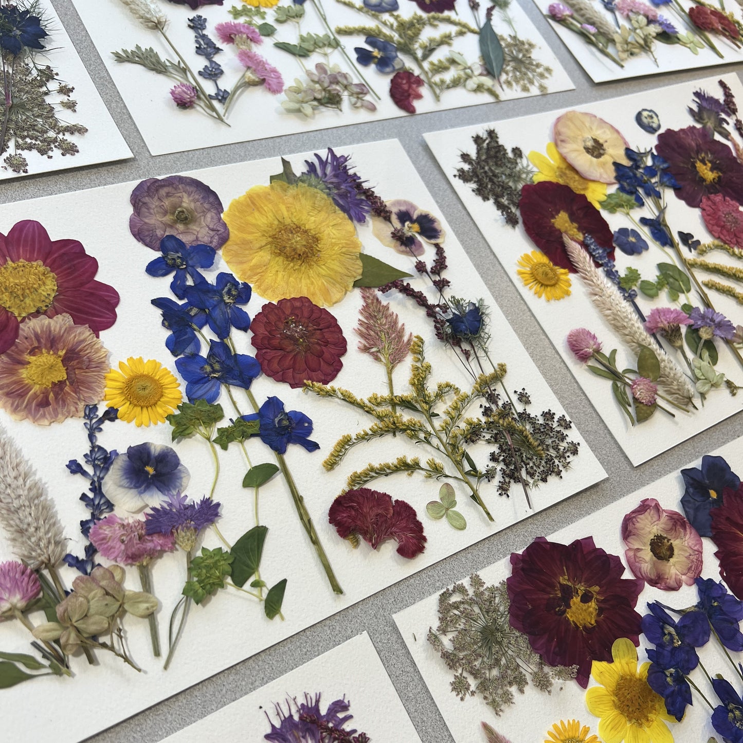 Pressed Flowers for Resin and DIY Crafts Dried Flowers 1818 Farms   