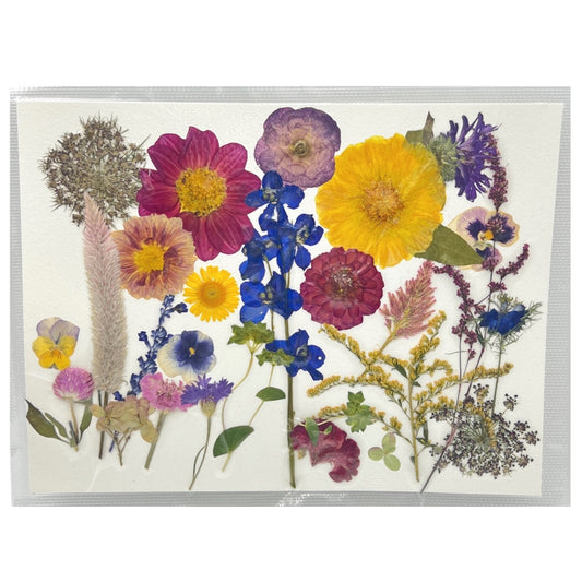 Pressed Flowers for Resin and DIY Crafts Dried Flowers 1818 Farms   