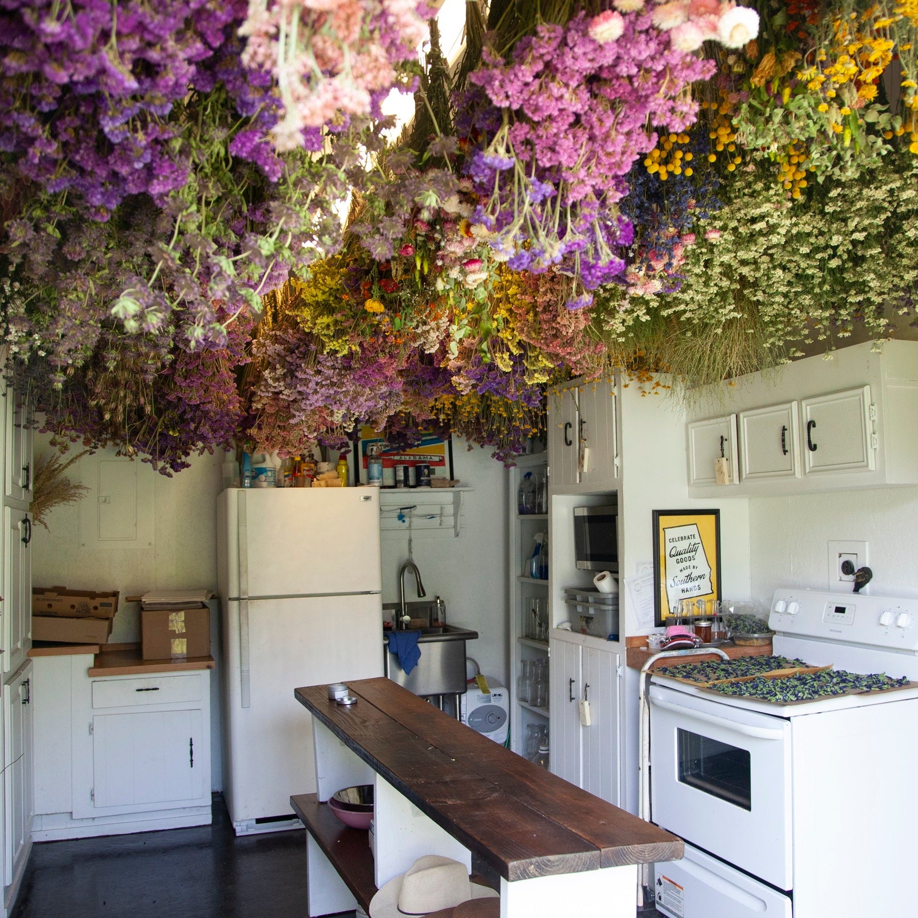 Summer Open Farm & Luffa Day! - June 20th Classes & Events 1818 Farms