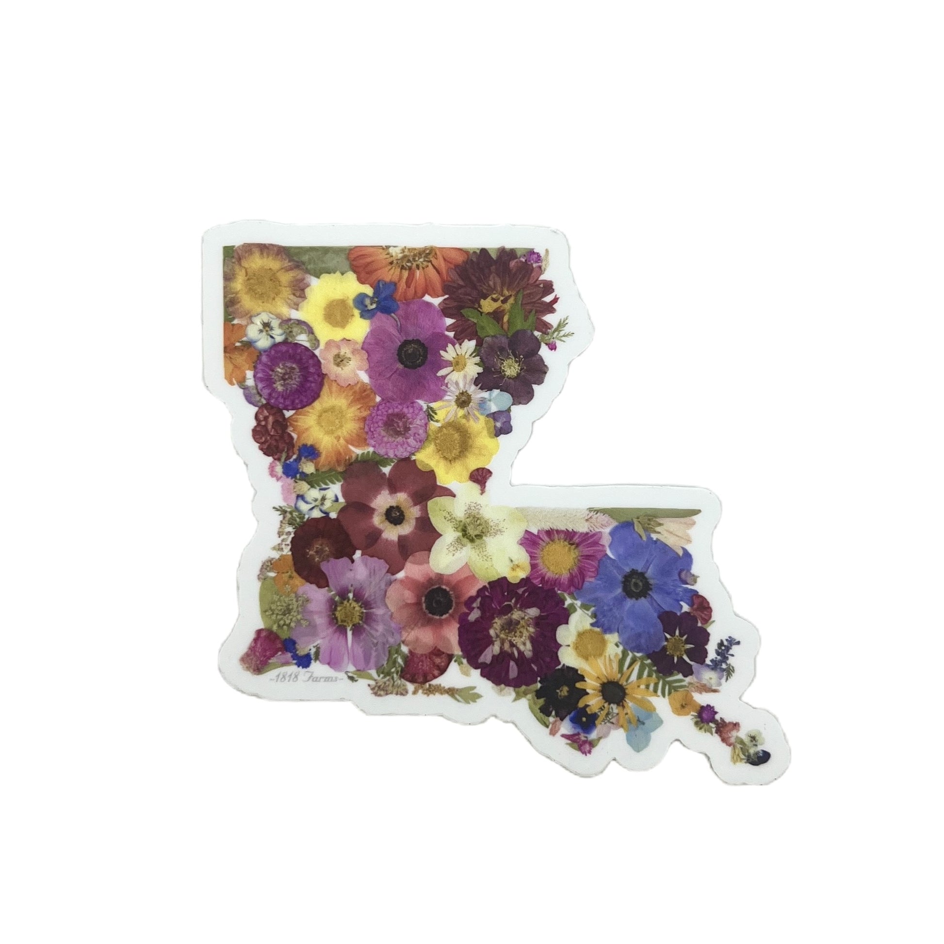 State Themed Vinyl Sticker Featuring Dried, Pressed Flowers - "Where I Bloom" Collection Vinyl Sticker 1818 Farms Louisiana  