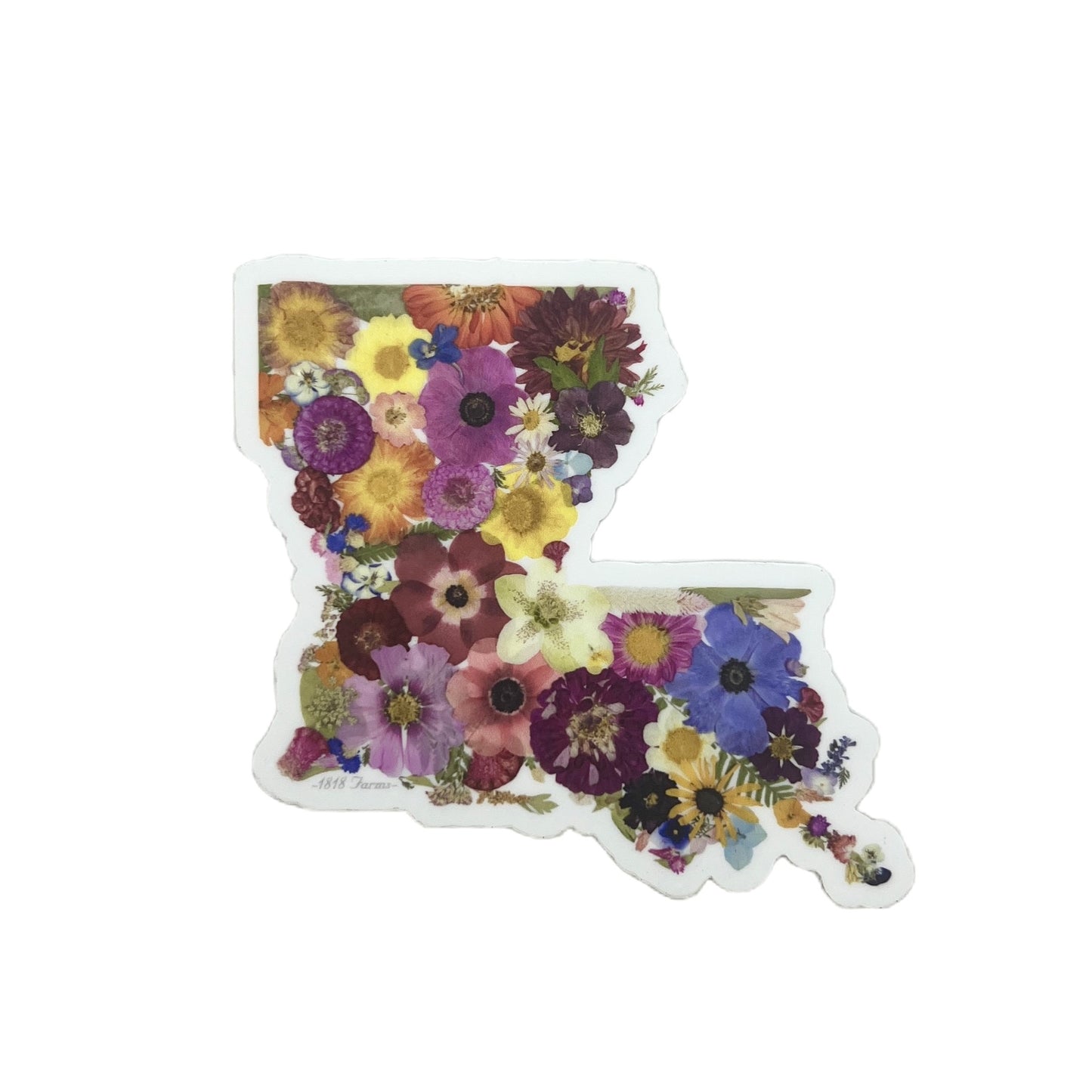 Louisiana Themed Vinyl Sticker Featuring Dried, Pressed Flowers - "Where I Bloom" Collection Vinyl Sticker 1818 Farms   