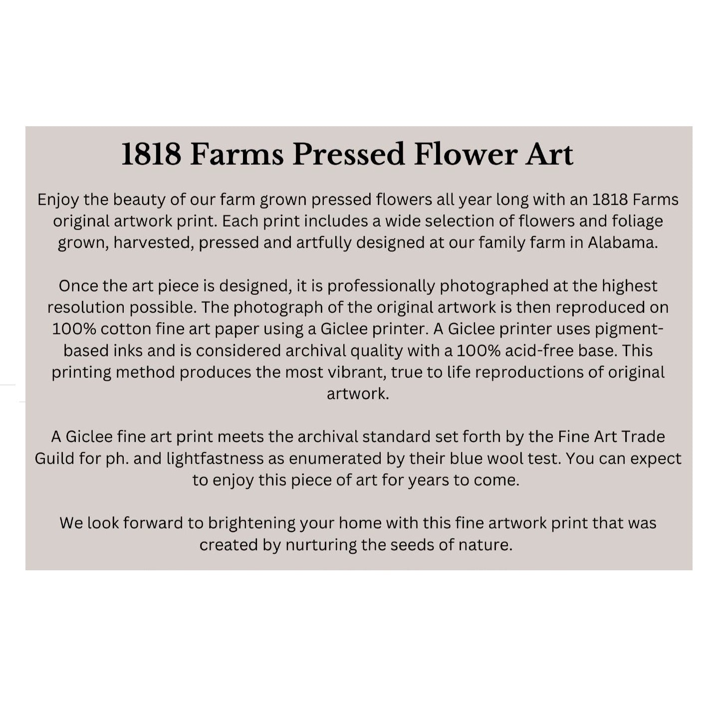 Tennessee Themed Giclée Print Featuring Dried, Pressed Flowers - "Where I Bloom" Collection Giclee Art Print 1818 Farms   