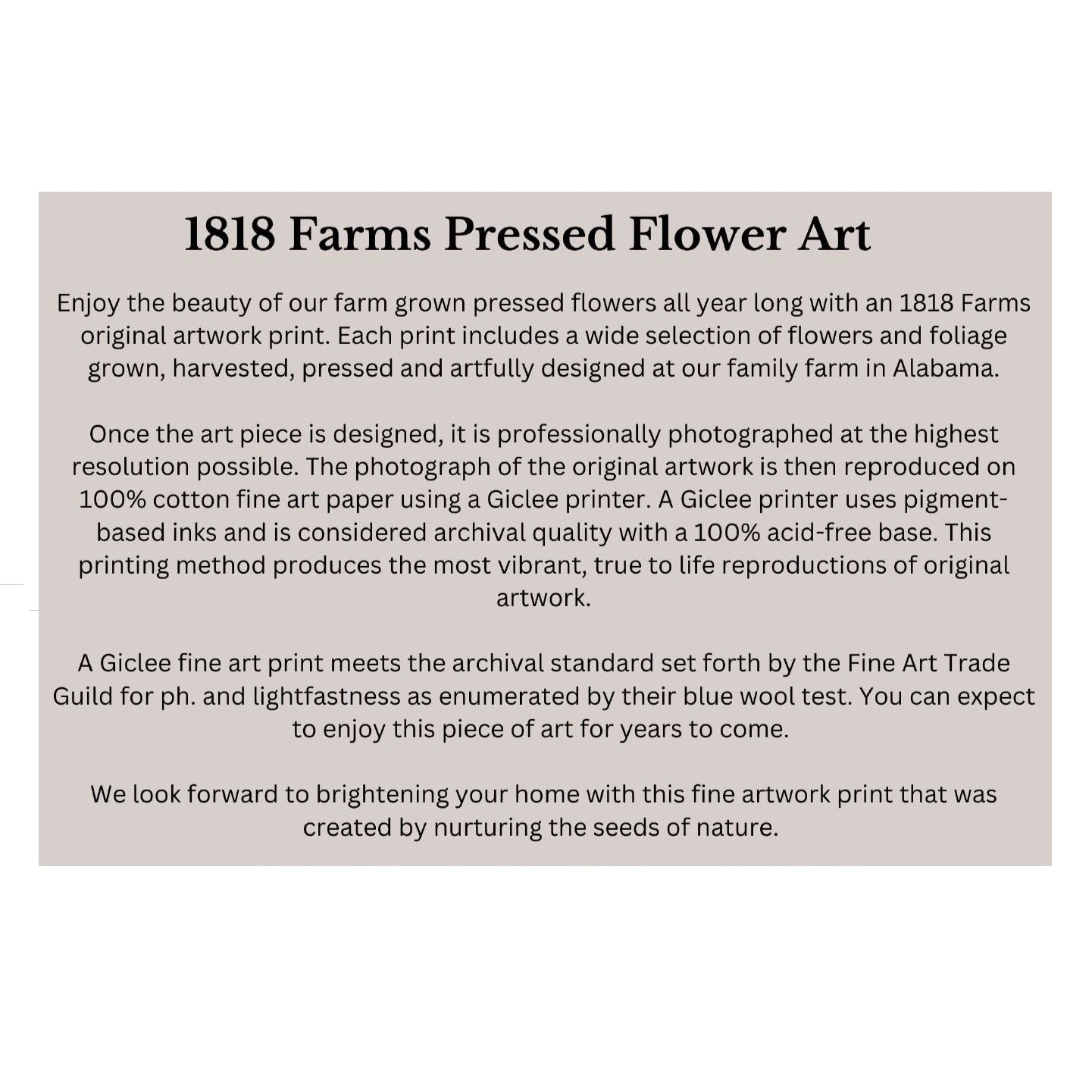 South Carolina Themed Giclée Print  - "Where I Bloom" Collection Giclee Art Print 1818 Farms   