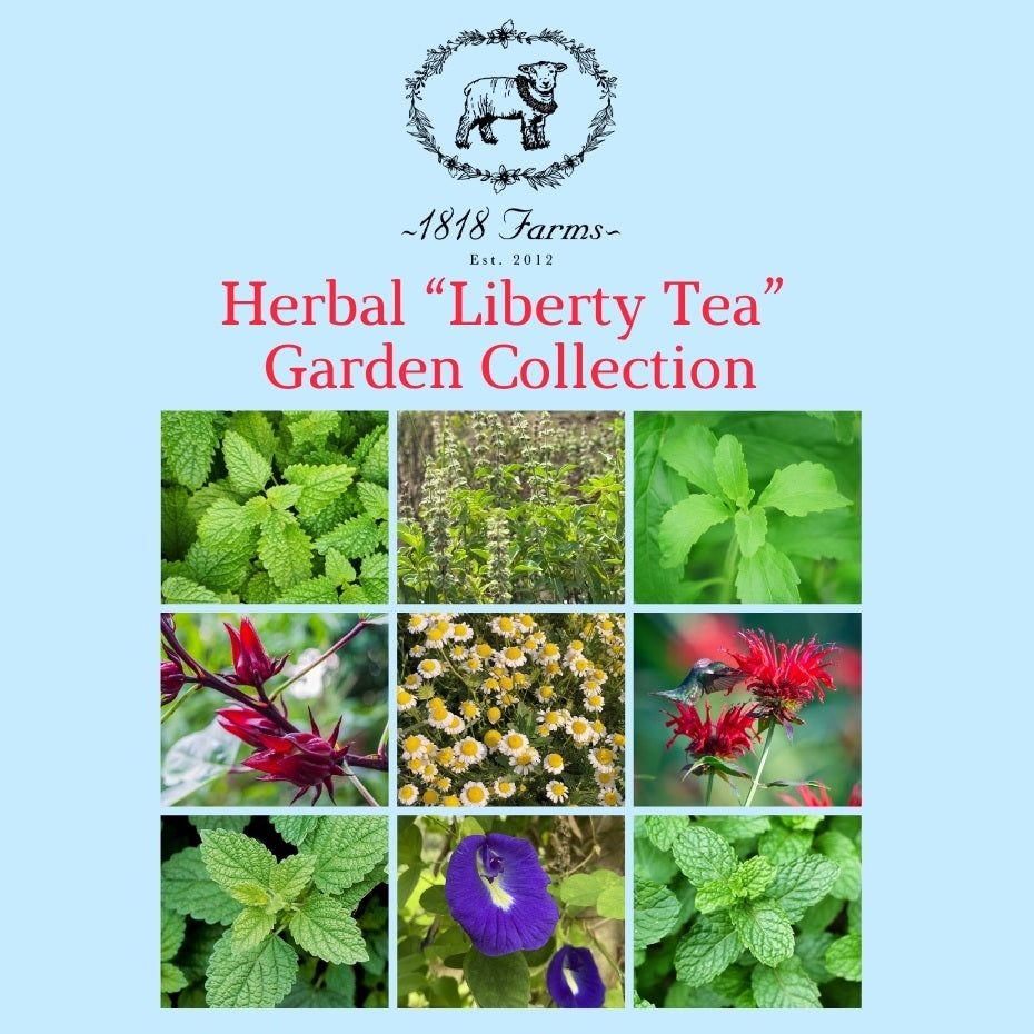 1818 Farms Herbal Liberty Tea Garden Plant Collection Flowers 1818 Farms