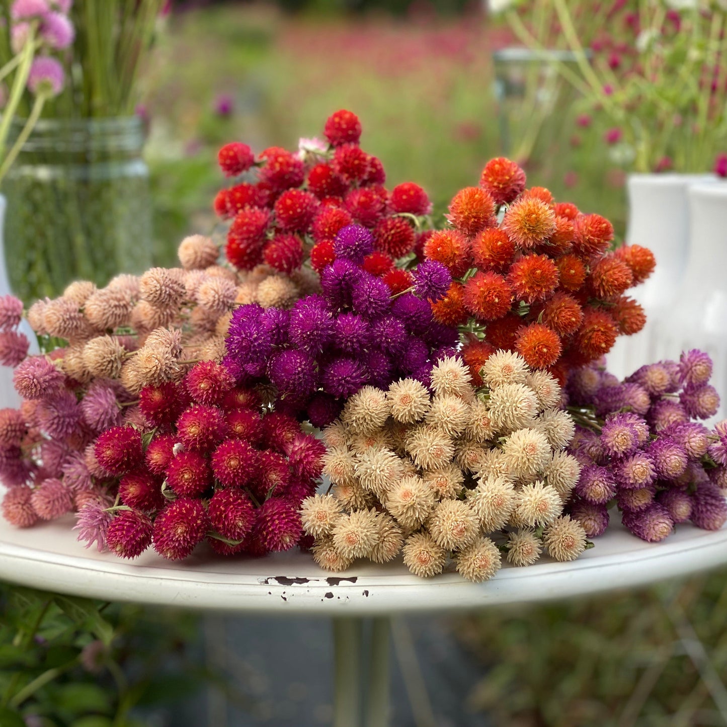 Dried Flower Bouquet Bar, Bundles and Wreath Sale at 1818 Farms Classes & Events 1818 Farms