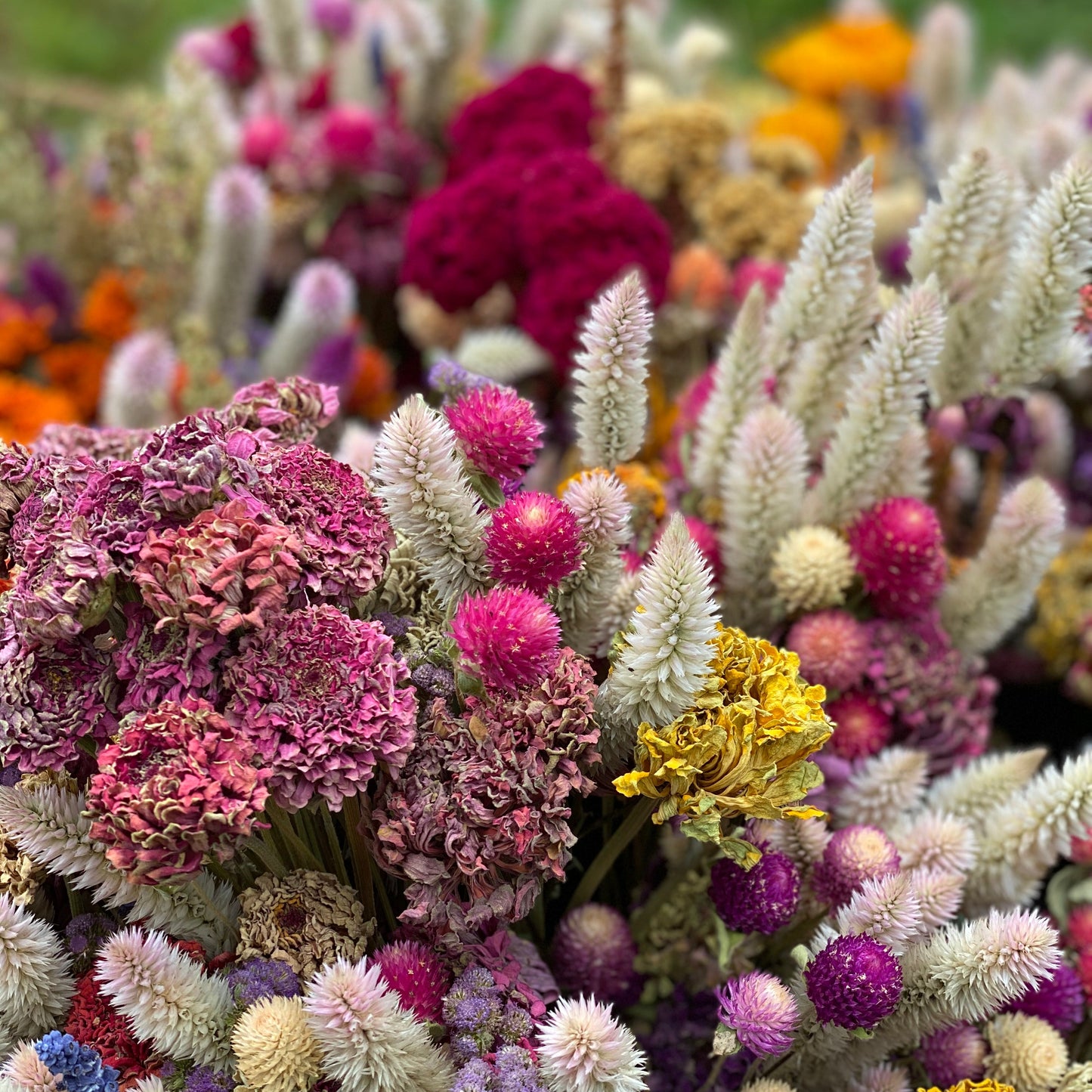 Dried Flower Bouquet Bar, Bundles and Wreath Sale at 1818 Farms
