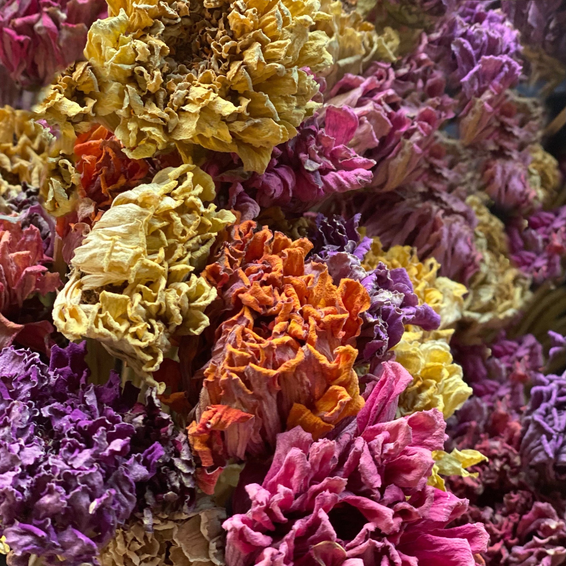 Dried Flower Bouquet Bar, Bundles and Wreath Sale at 1818 Farms Classes & Events 1818 Farms