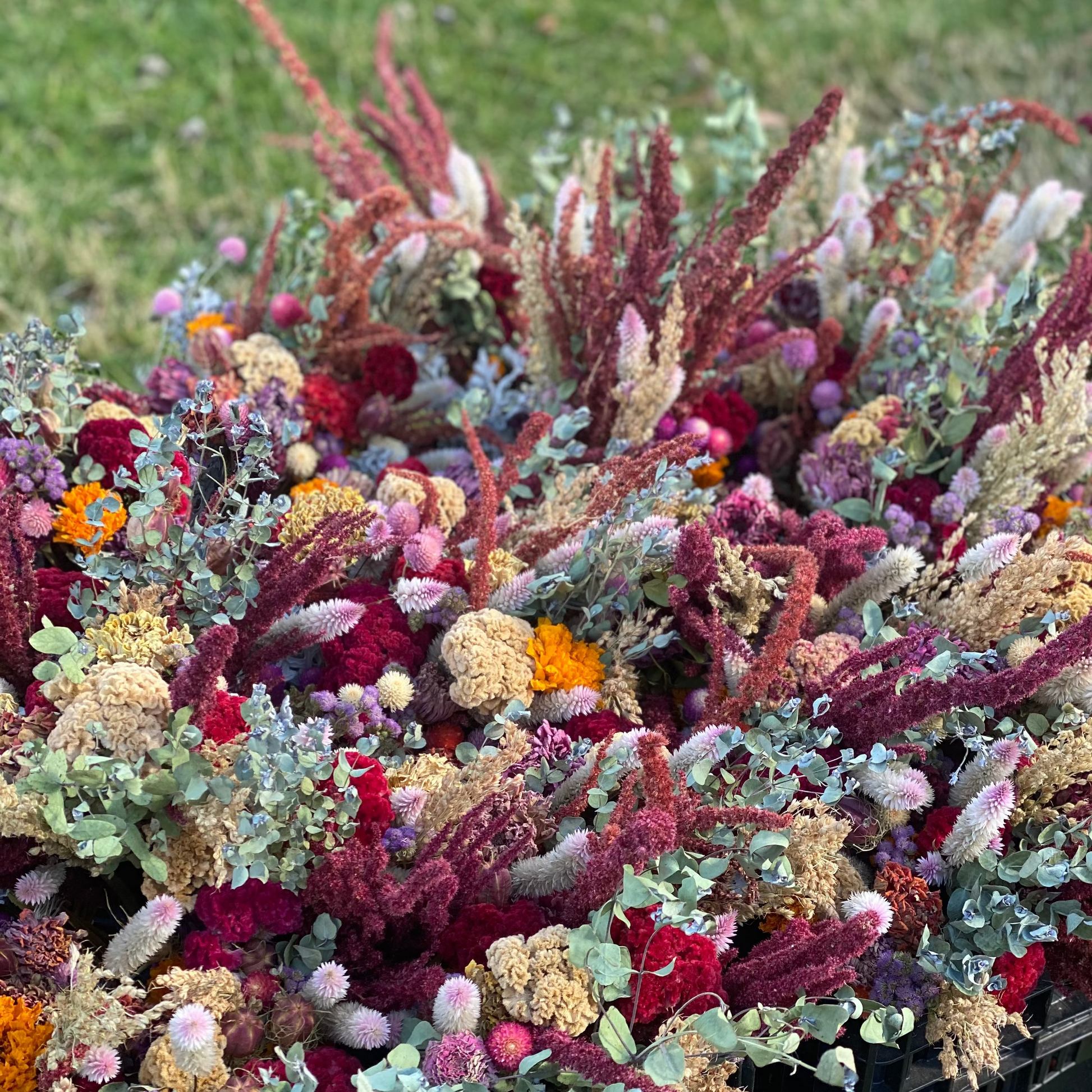 Dried Flower Bouquet Bar, Bundles and Wreath Sale at 1818 Farms Classes & Events 1818 Farms