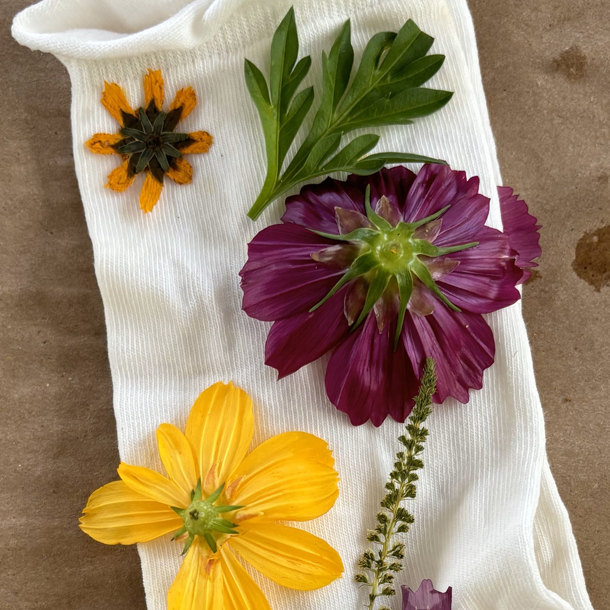 How to Bundle Dye with Fresh and Pressed Flowers Classes & Events 1818 Farms