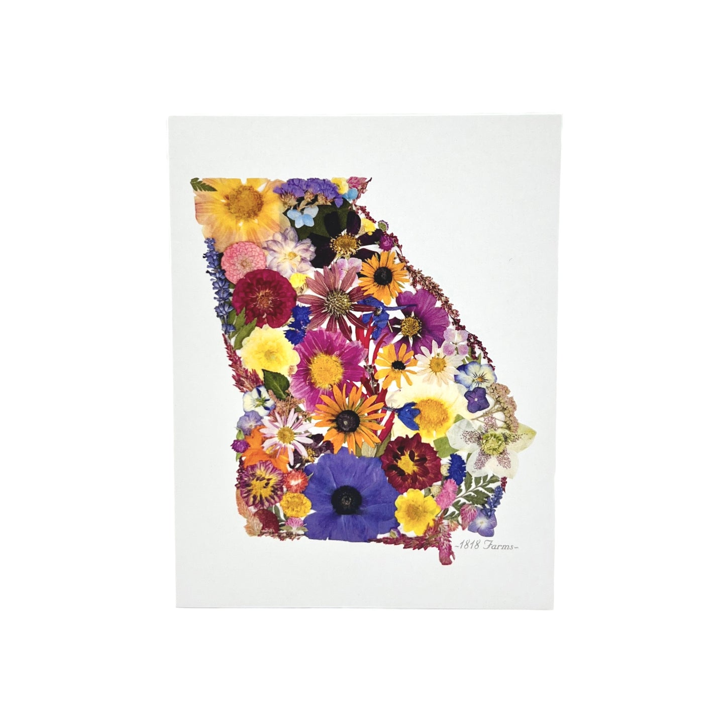 State Themed Notecards (Set of 6) Featuring Dried, Pressed Flowers - "Where I Bloom" Collection Notecard 1818 Farms Georgia  