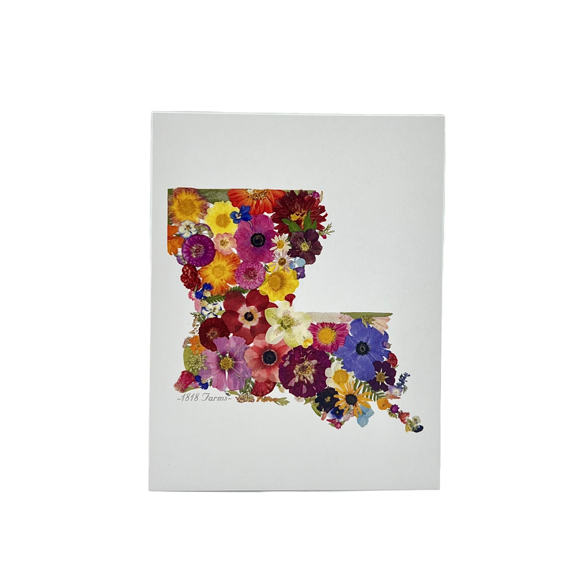 State Themed Notecards (Set of 6) Featuring Dried, Pressed Flowers - "Where I Bloom" Collection Notecard 1818 Farms Louisiana  