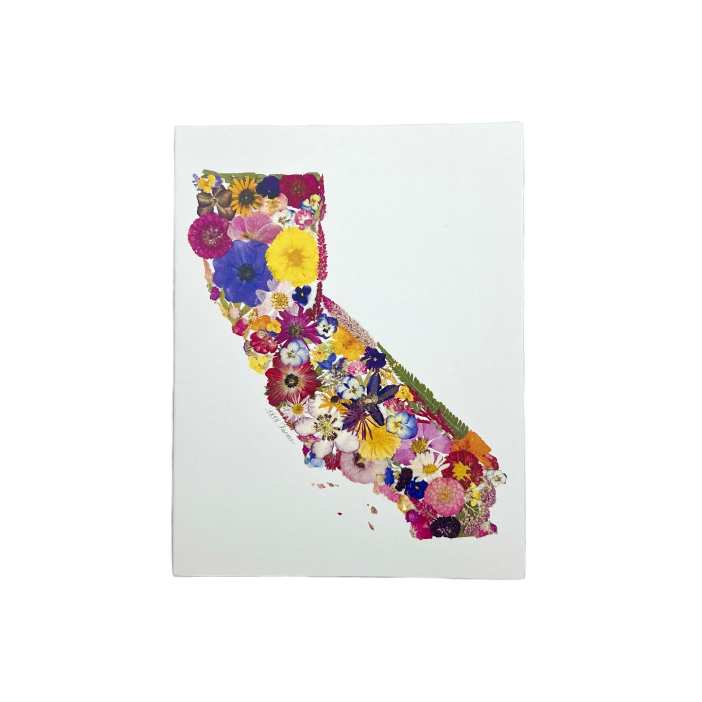 State Themed Notecards (Set of 6) Featuring Dried, Pressed Flowers - "Where I Bloom" Collection Notecard 1818 Farms California  