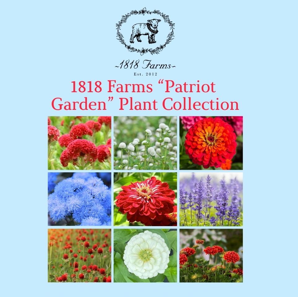 1818 Farms Patriot Garden Plant Collection Flowers 1818 Farms