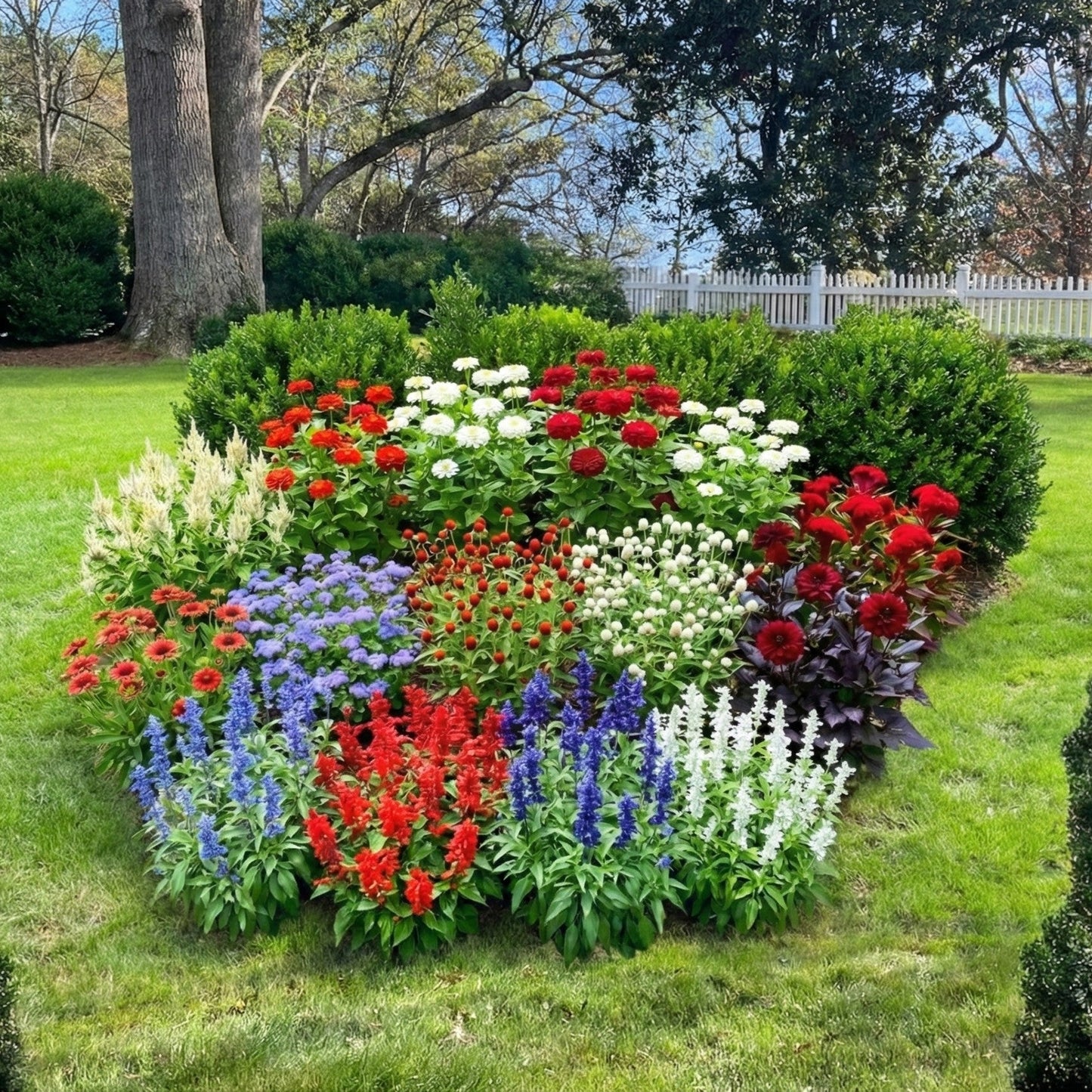 1818 Farms Patriot Garden Plant Collection Flowers 1818 Farms