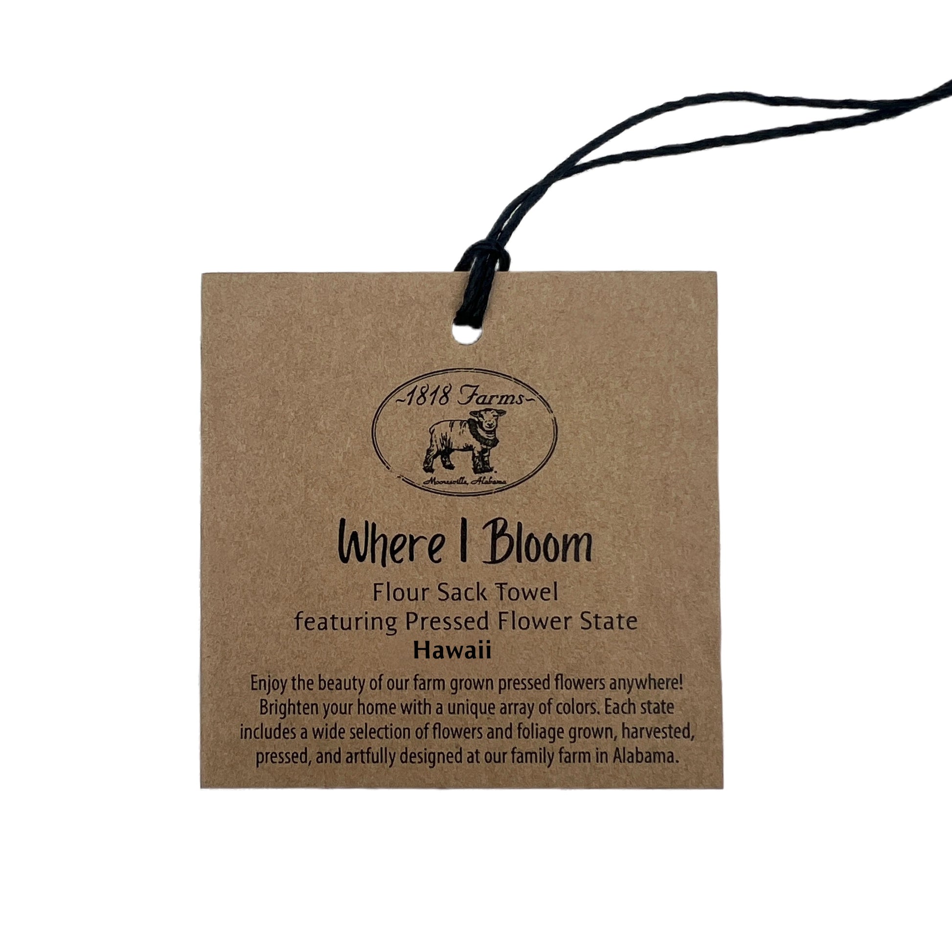 Hawaii Themed Flour Sack Towel  - "Where I Bloom" Collection Towel 1818 Farms   