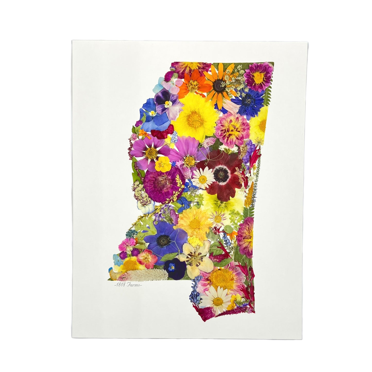 Mississippi Themed Giclée Print Featuring Dried, Pressed Flowers - "Where I Bloom" Collection Giclee Art Print 1818 Farms 8"x10"  
