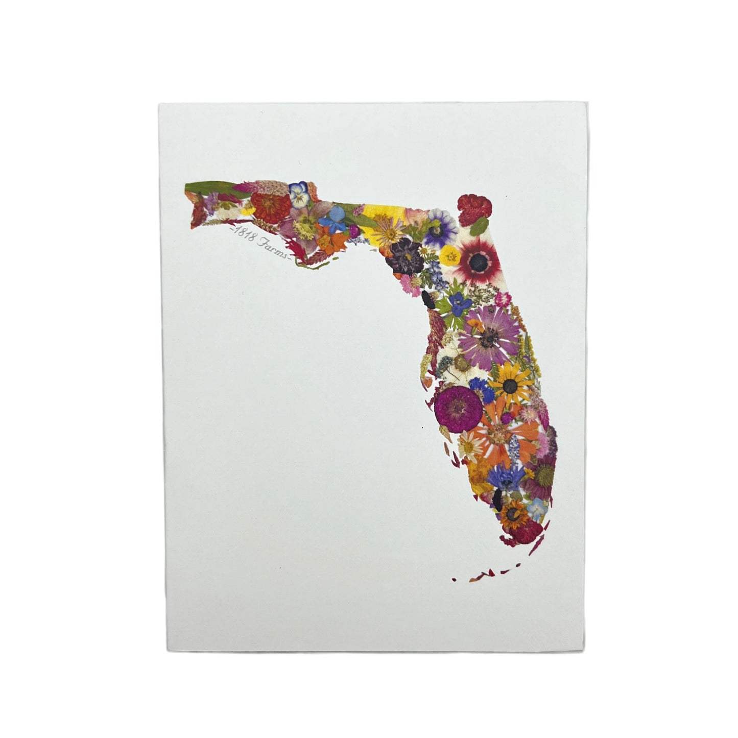 Florida Themed Notecards (Set of 6) Featuring Dried, Pressed Flowers - "Where I Bloom" Collection Notecard 1818 Farms   
