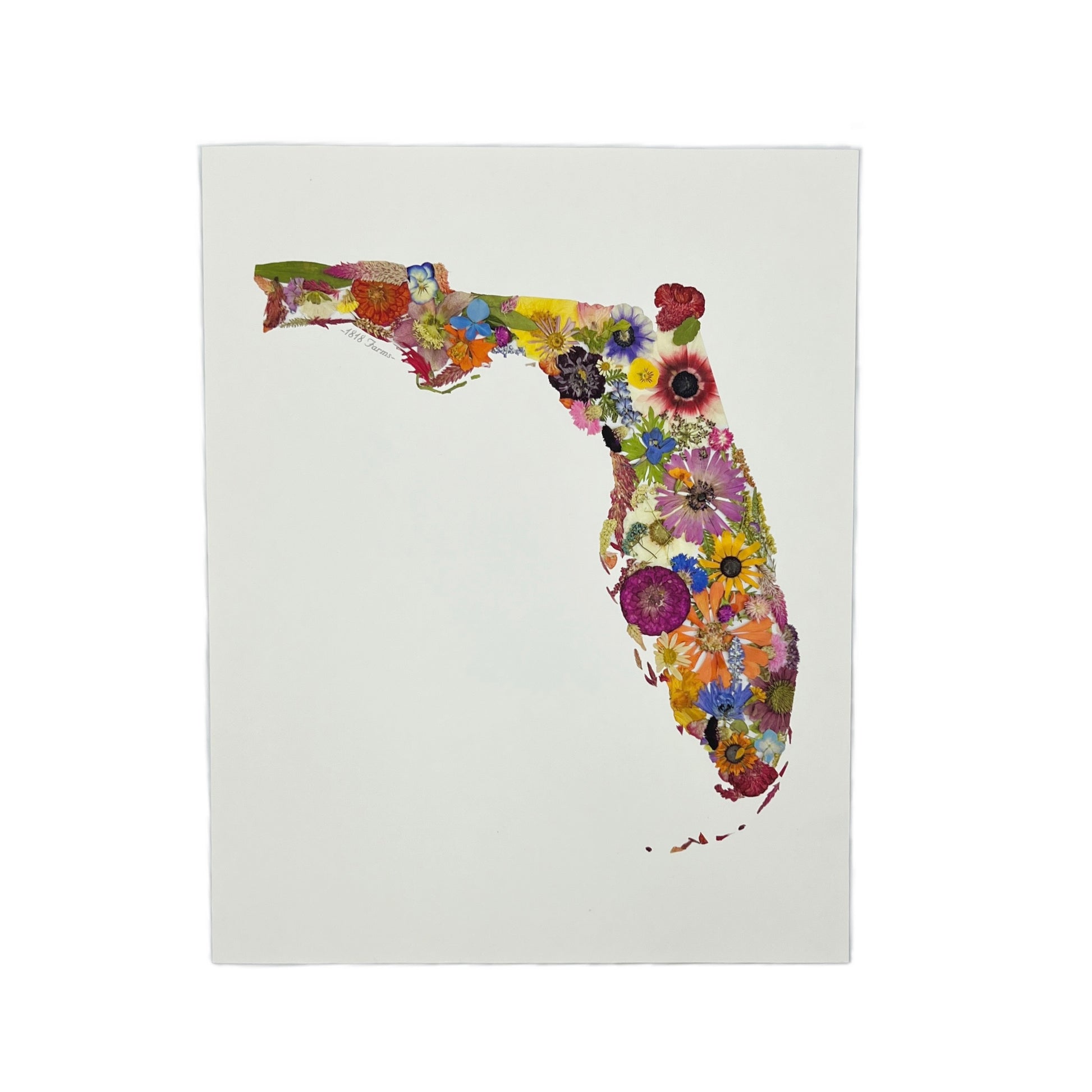 State Themed Giclée Print Featuring Dried, Pressed Flowers - "Where I Bloom" Collection Giclee Art Print 1818 Farms 11"x14" Florida 